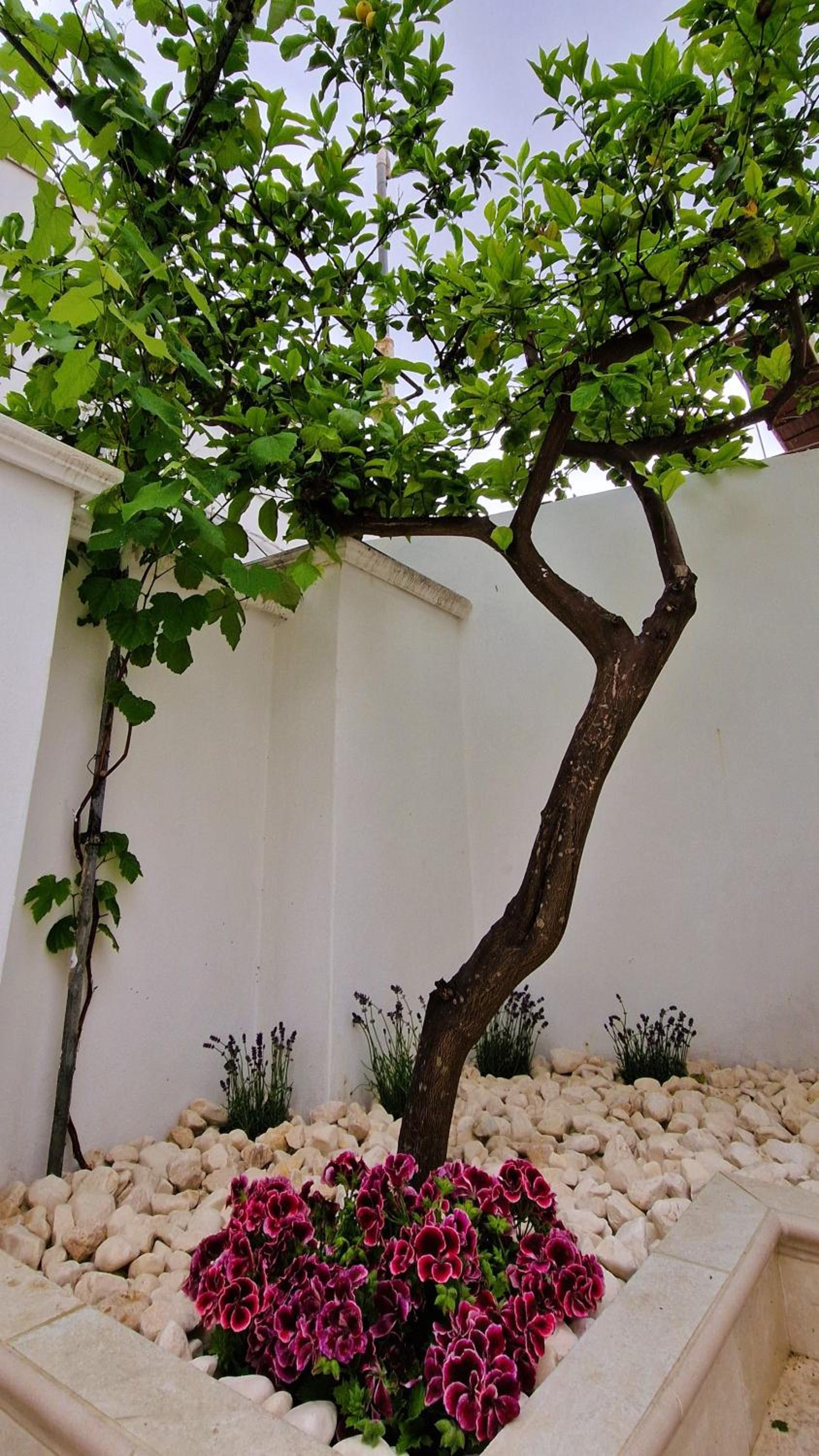 One-Bedroom Apartment with Garden photo 2