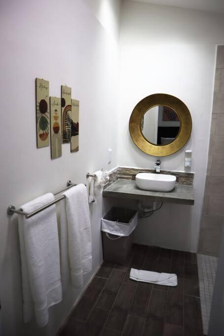 One-Bedroom House photo 3