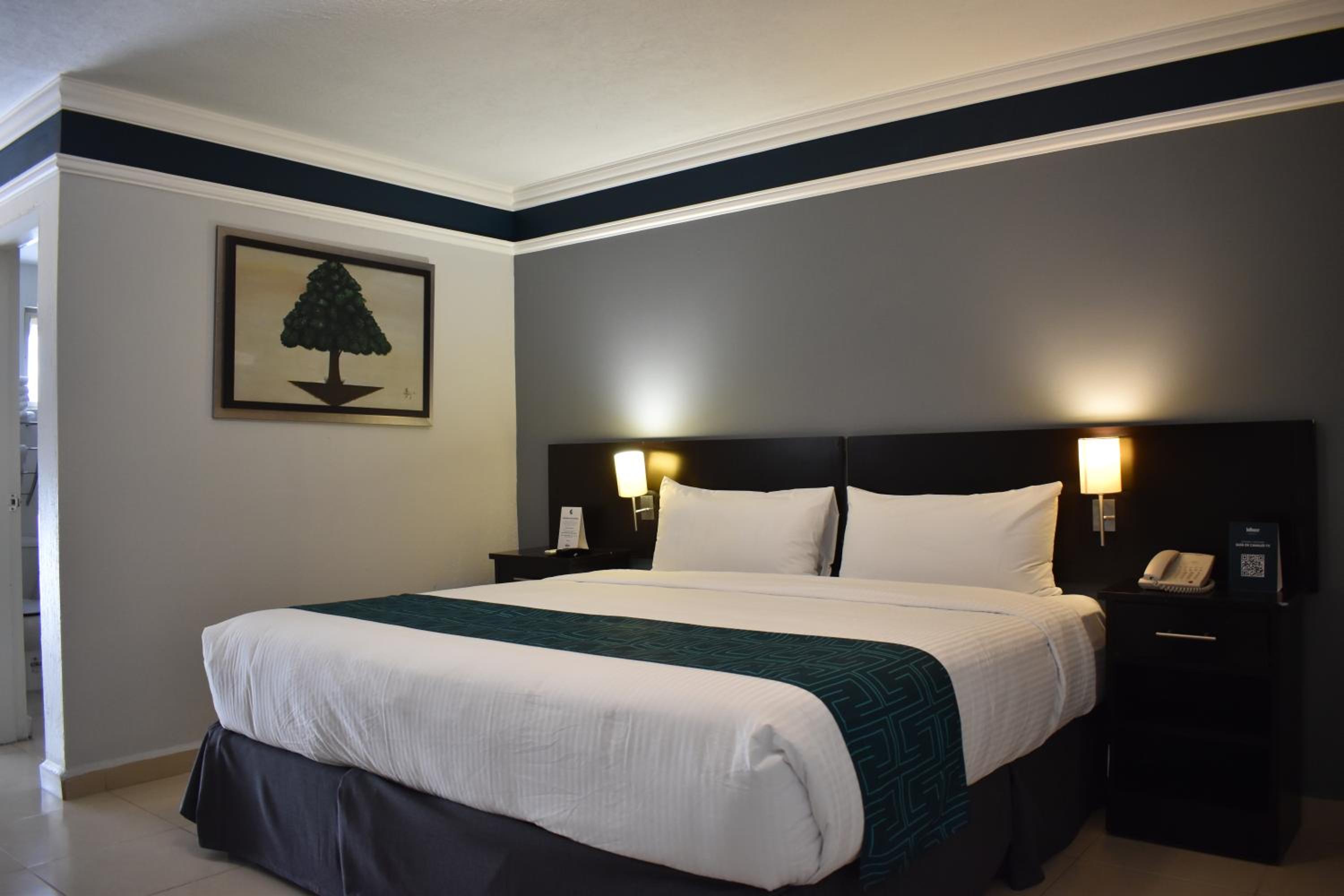 Standard King Room - Photo 6