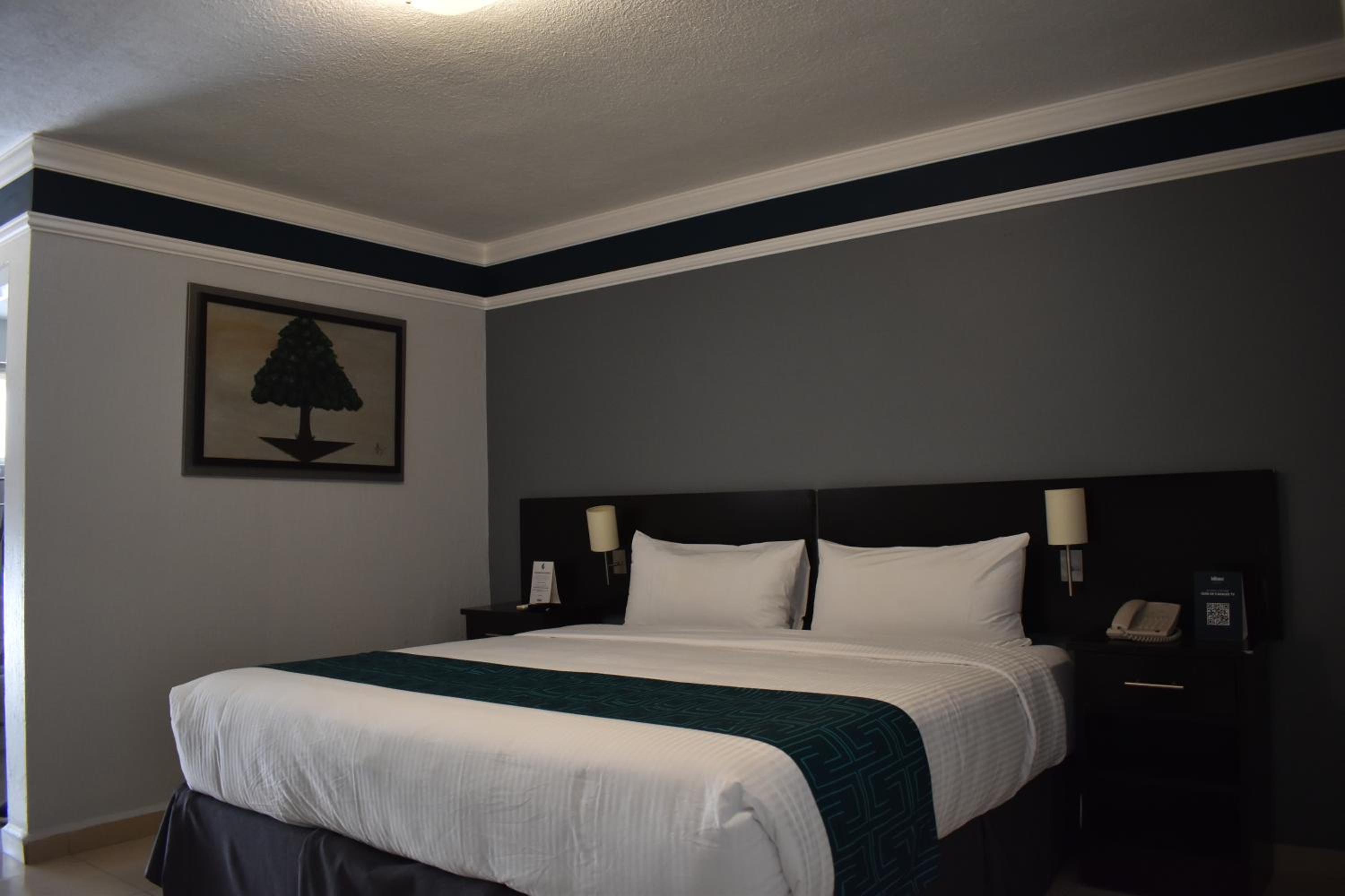 Standard King Room - Photo 9