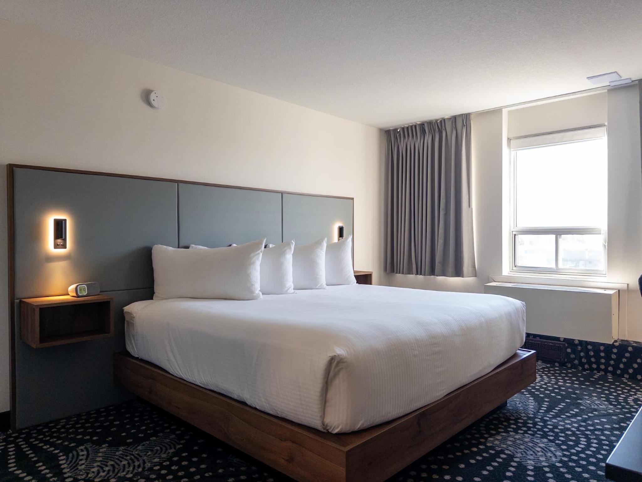 Standard One King - Newly Renovated