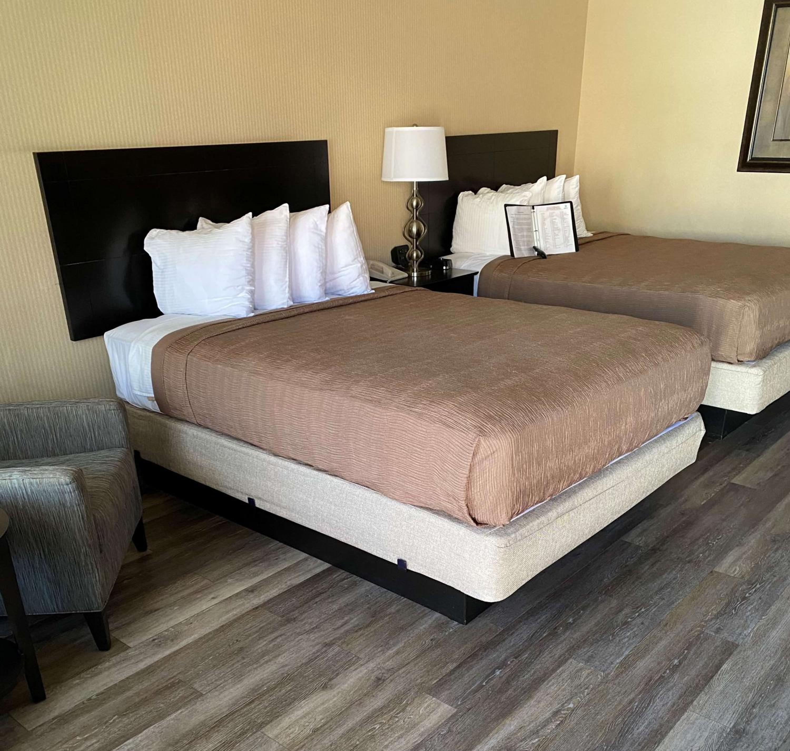Queen Room with Two Queen Beds - Pet Friendly/Non-Smoking - Photo 4