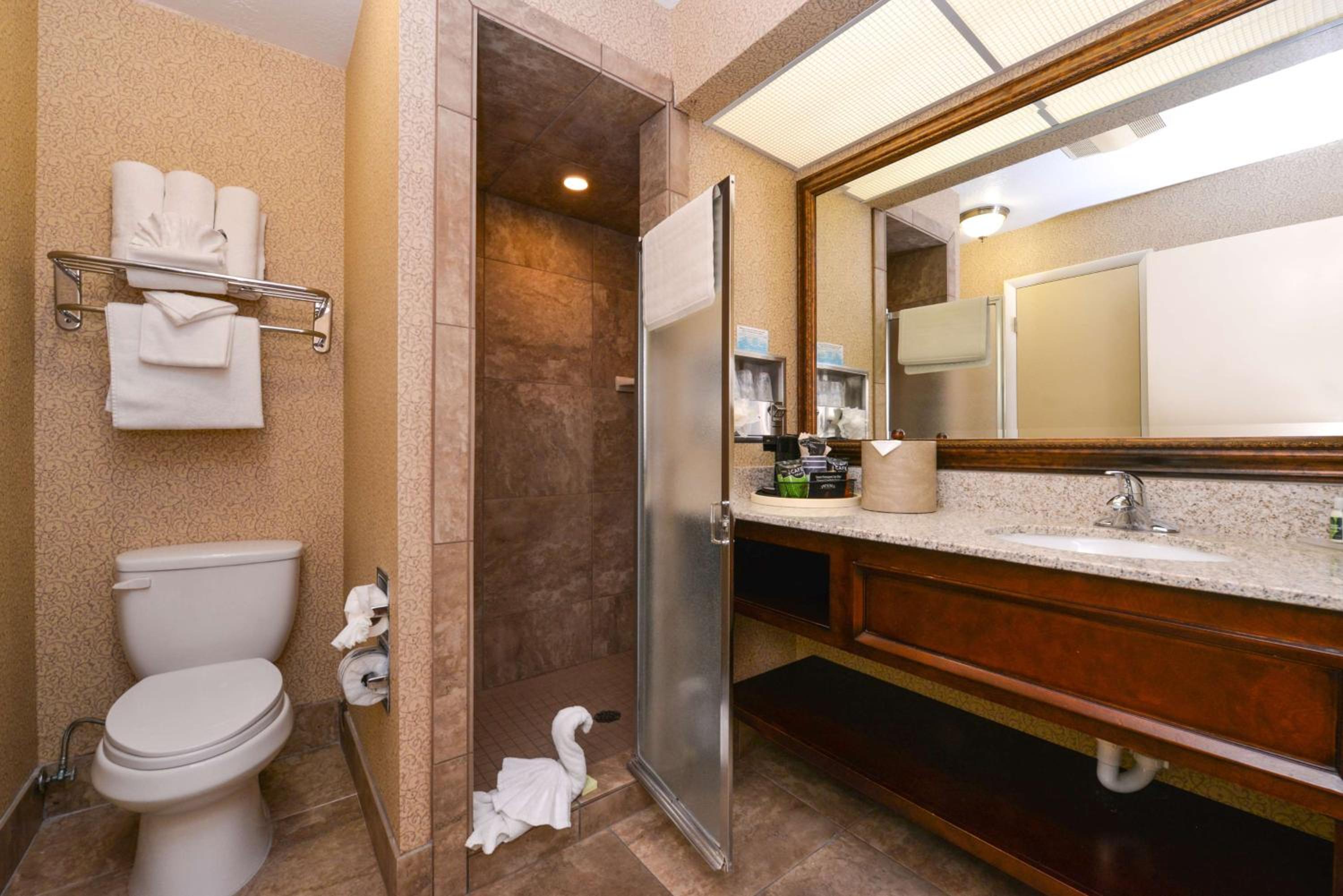 King Suite with Spa Bath - Photo 4