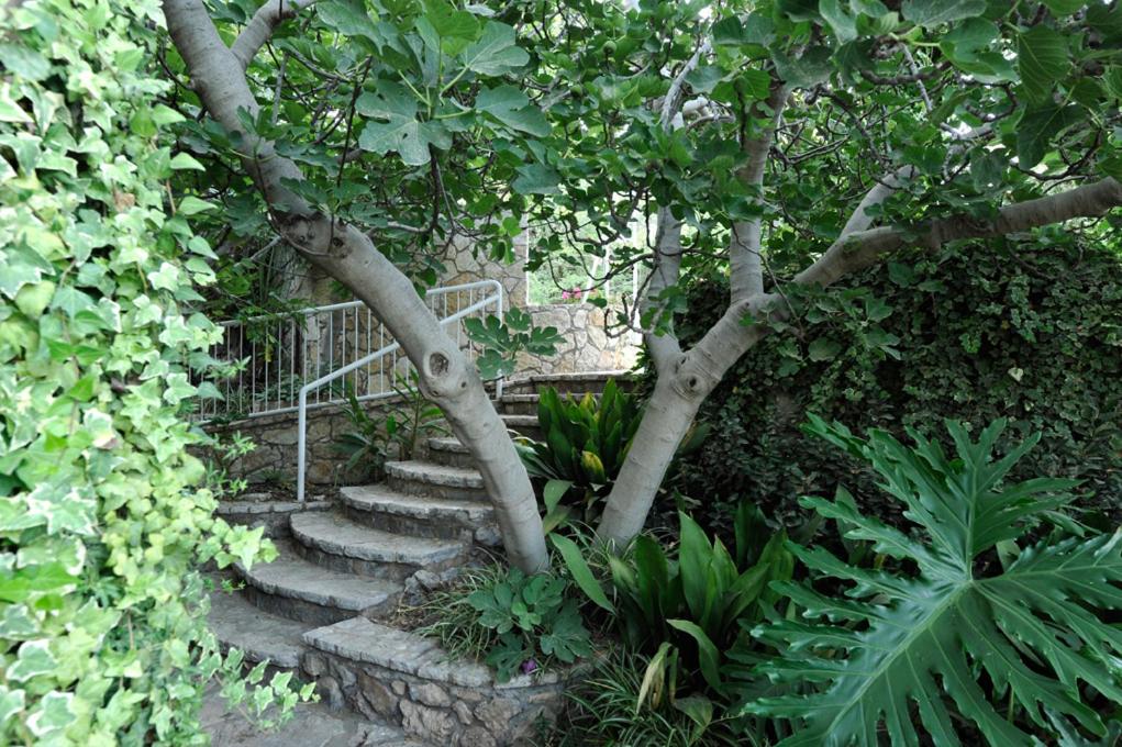 Family Room with Garden View (Ha'Etz Ha'Sagol) - Photo 12