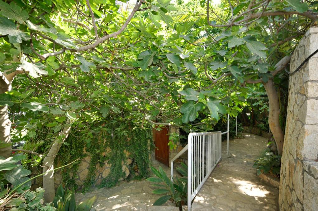 Family Room with Garden View (Ha'Etz Ha'Sagol) - Photo 2