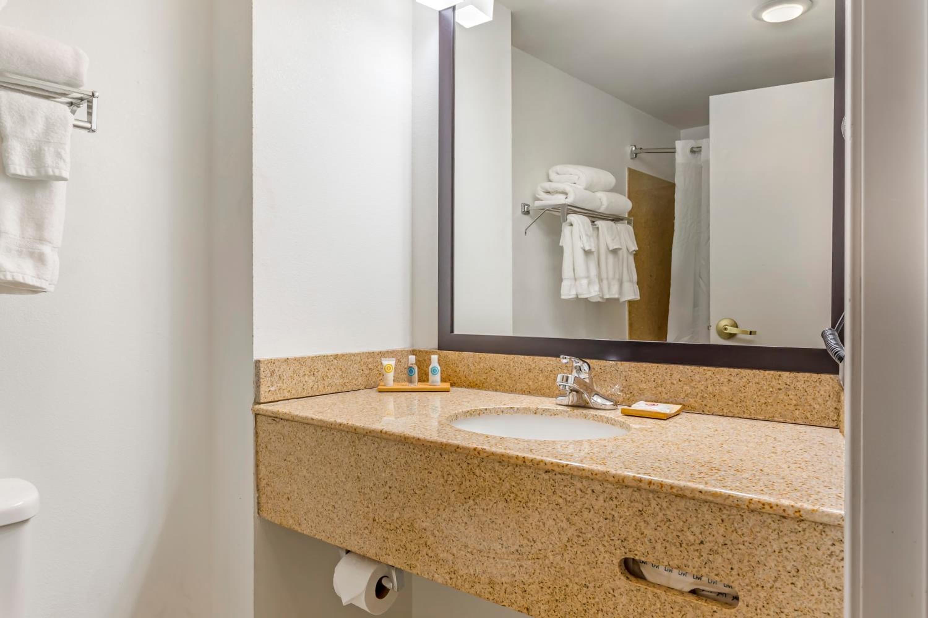 One-Bedroom King Suite with Roll in Shower - Disability Access - Photo 4