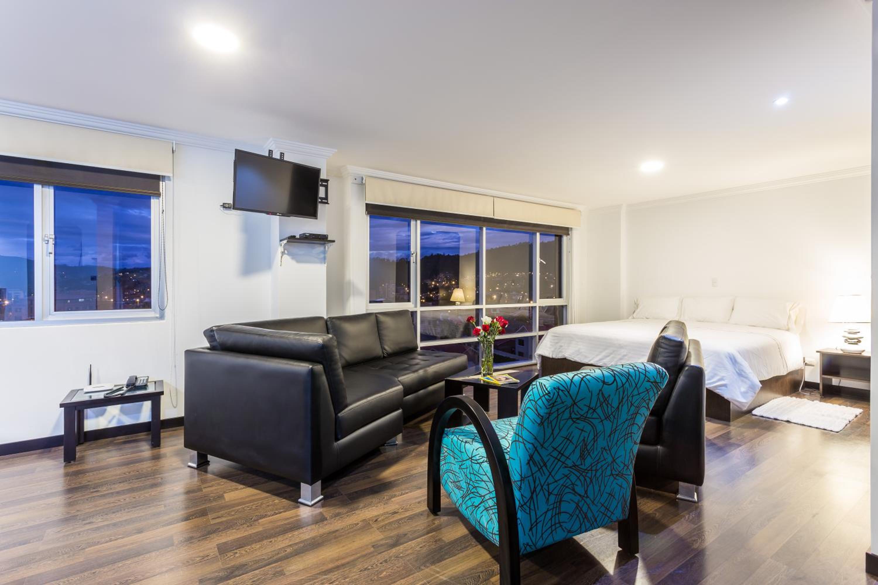 Large One-Bedroom Apartment photo 2