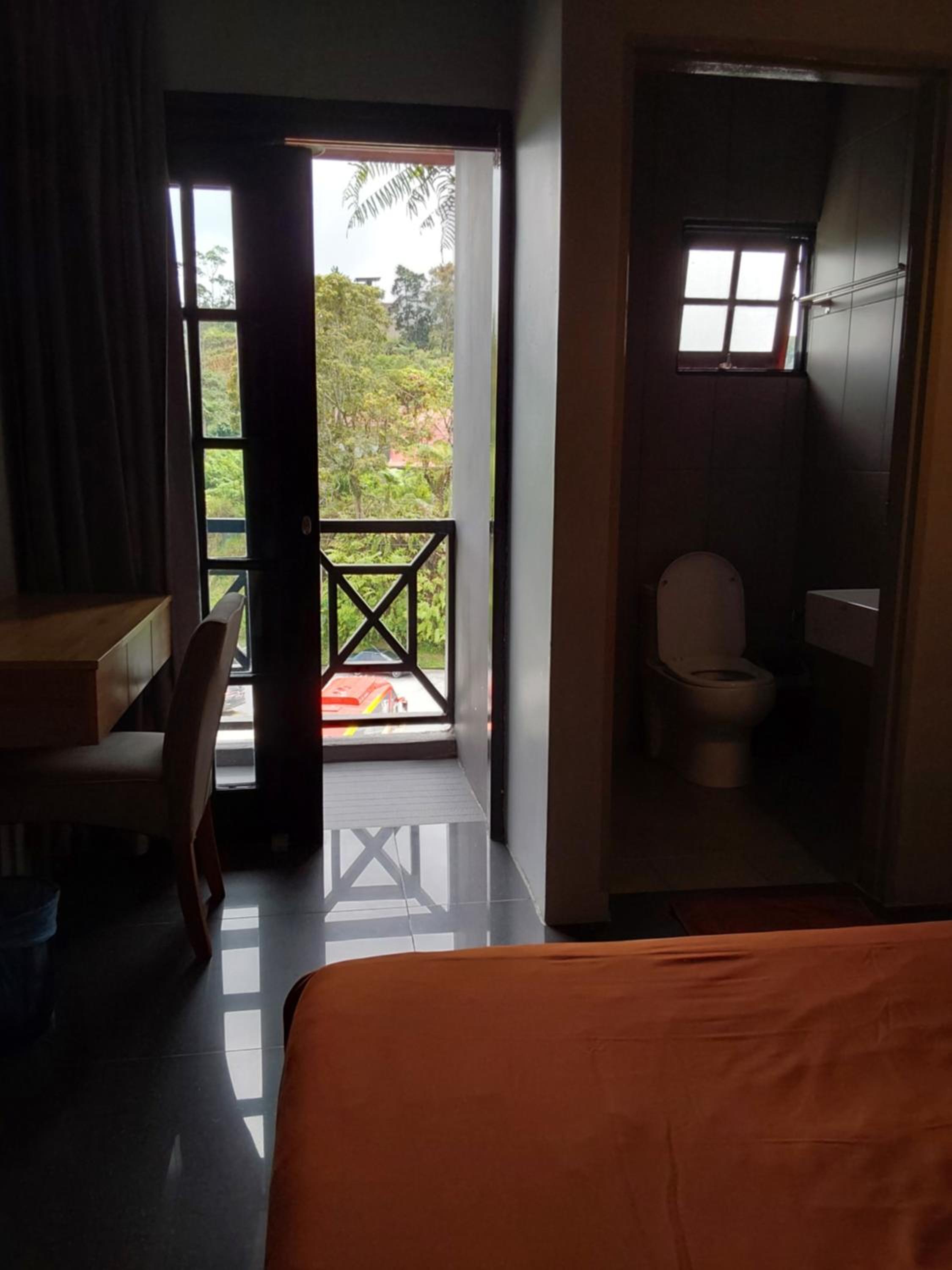 Double Room with Balcony photo 3
