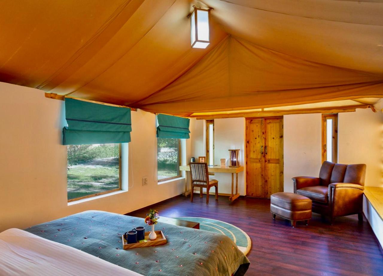 Superior King Room photo 2