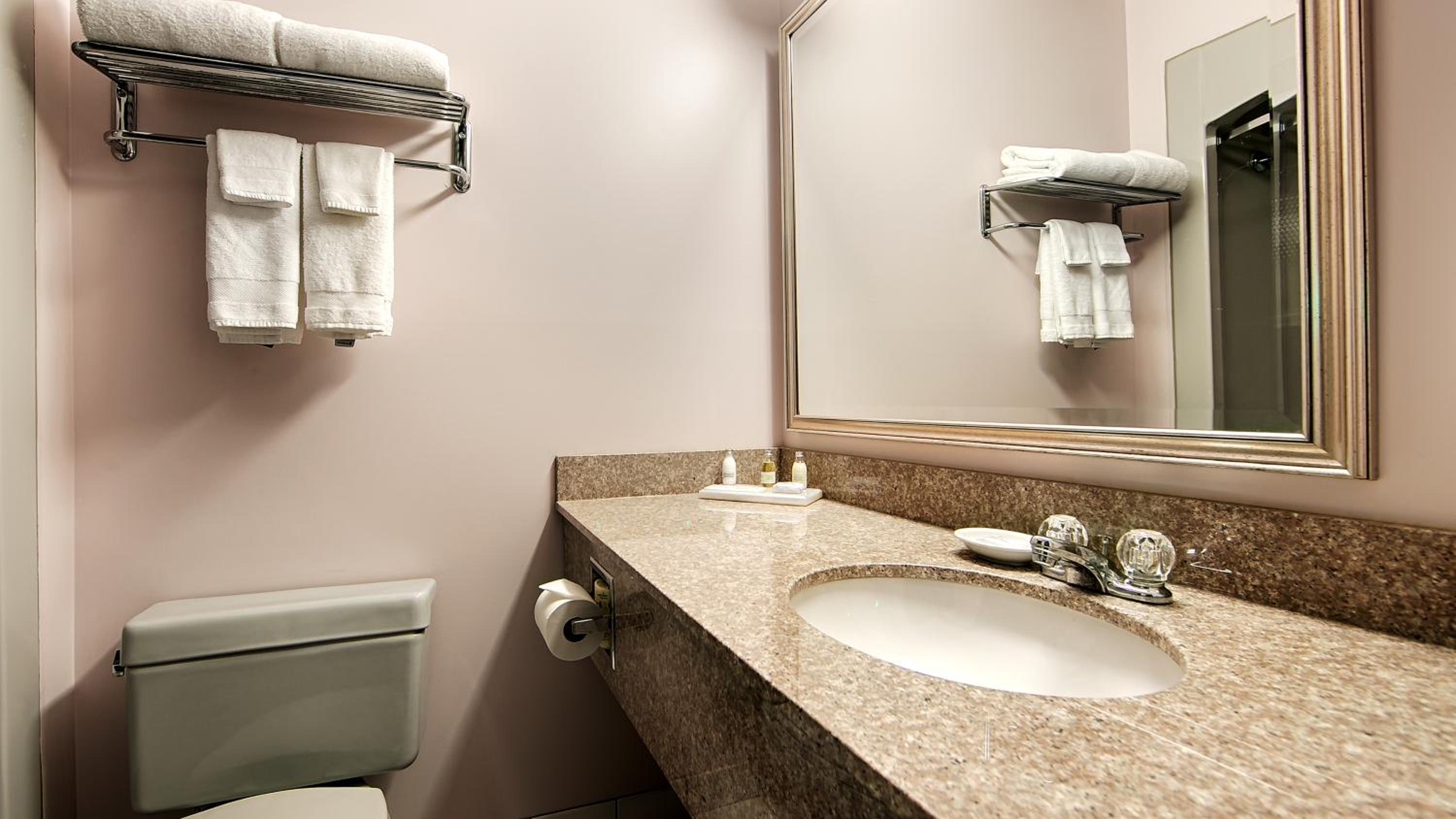 bathroom with a sink, toilet, and towel rack