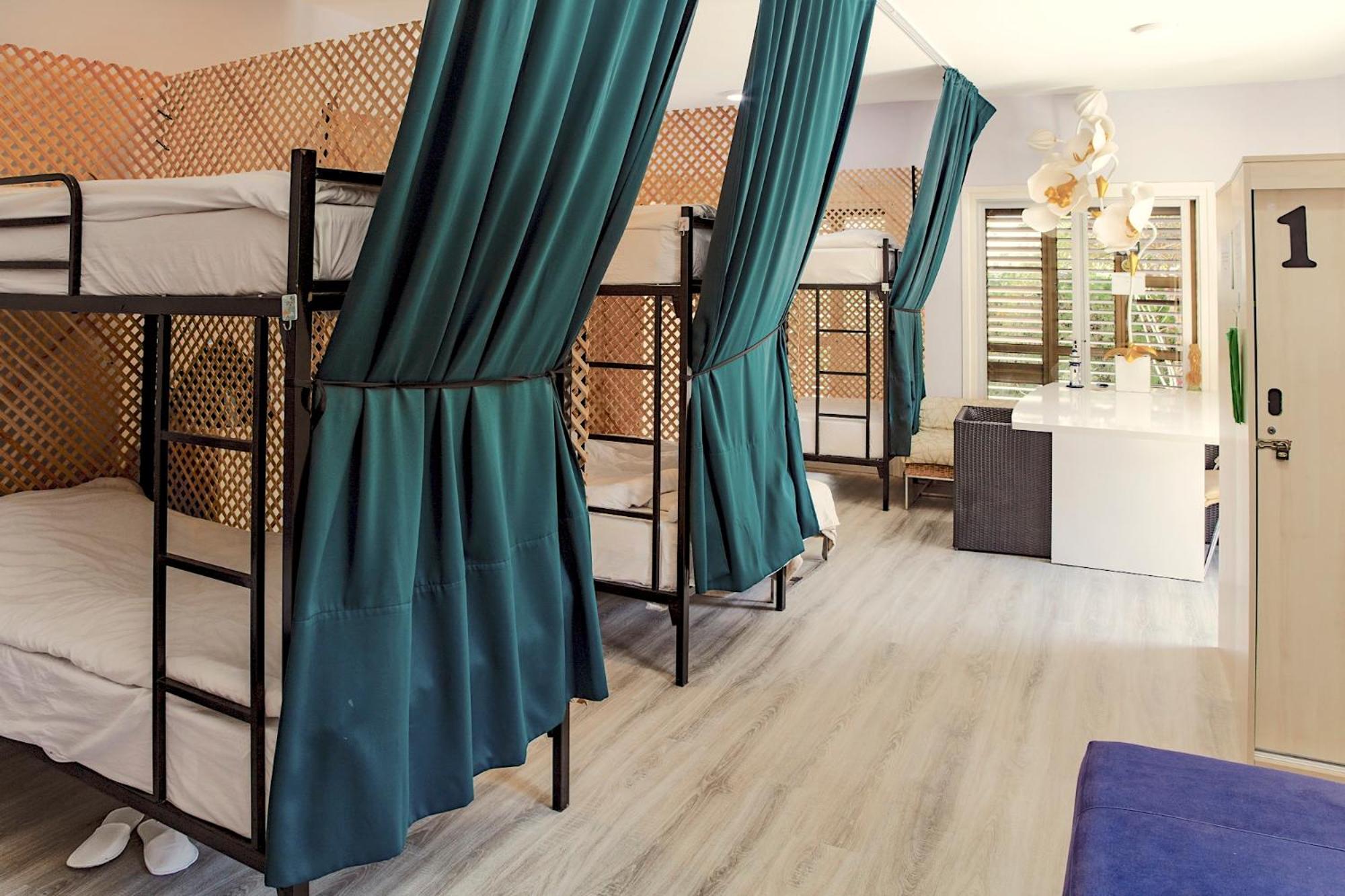 Bunk Bed in Mixed Dormitory Room