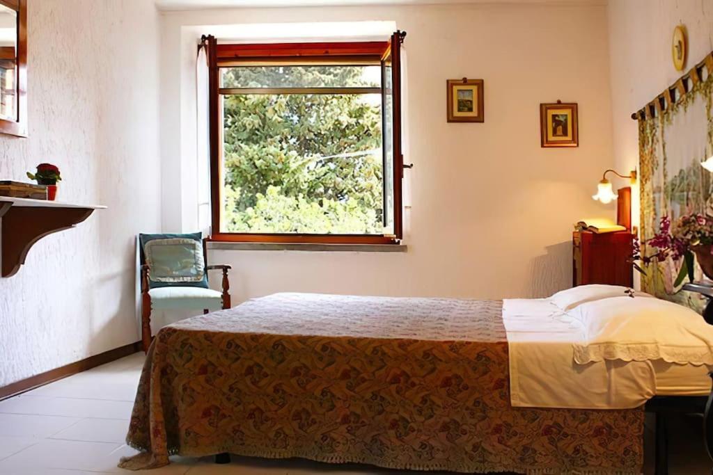 Large Double Room photo 1