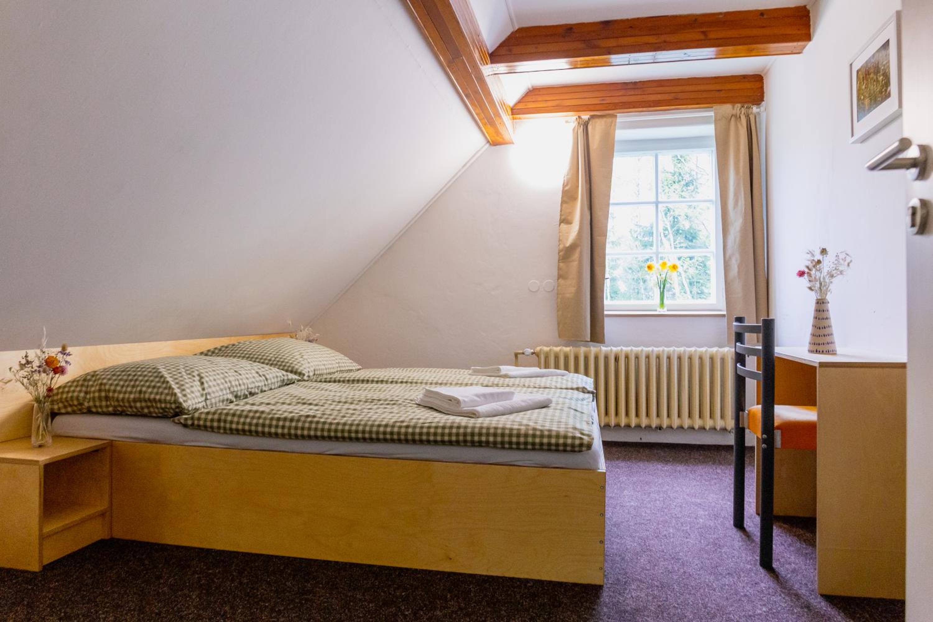 Standard Double or Twin Room photo 1