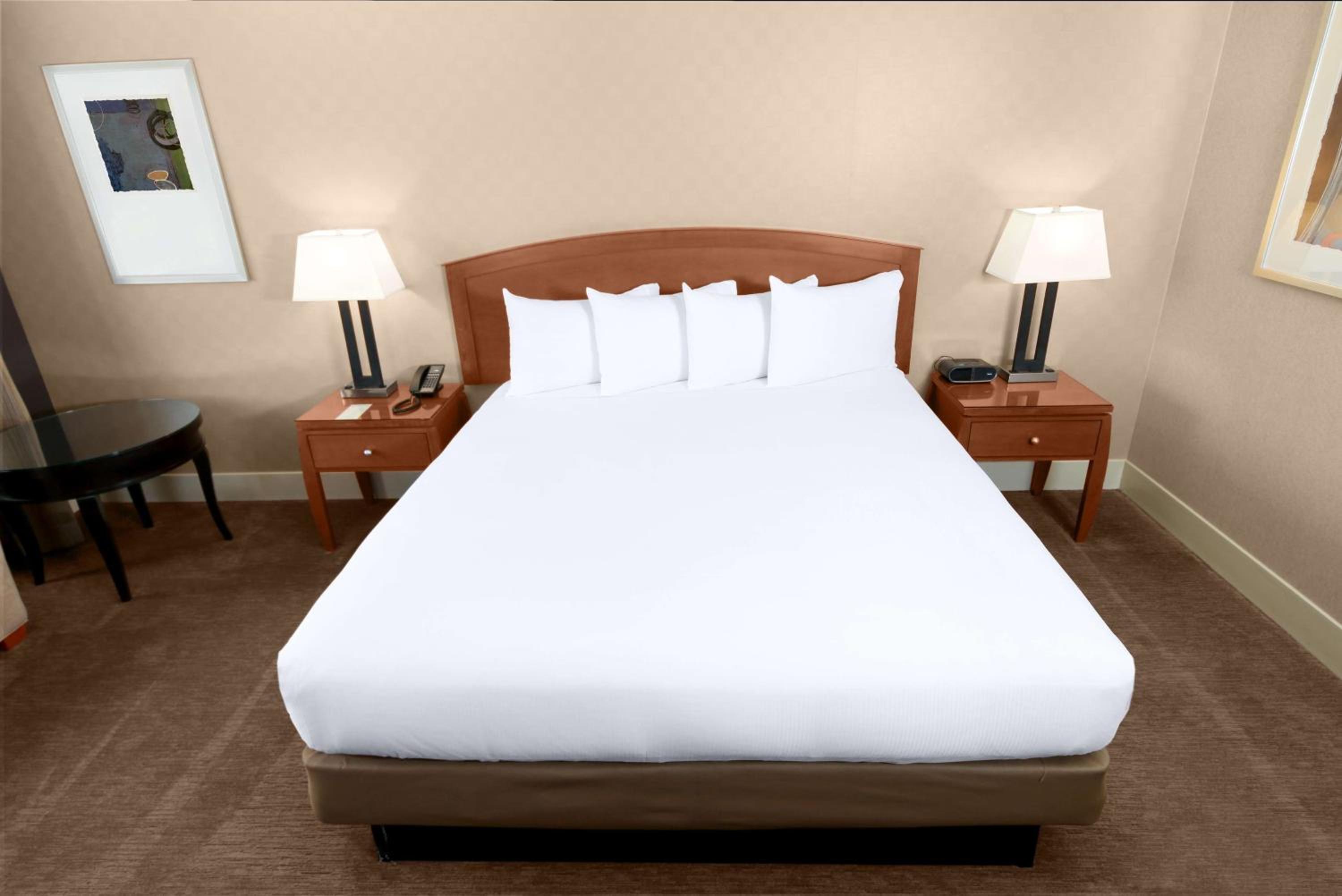 Skyline View - One King Bed - Photo 3