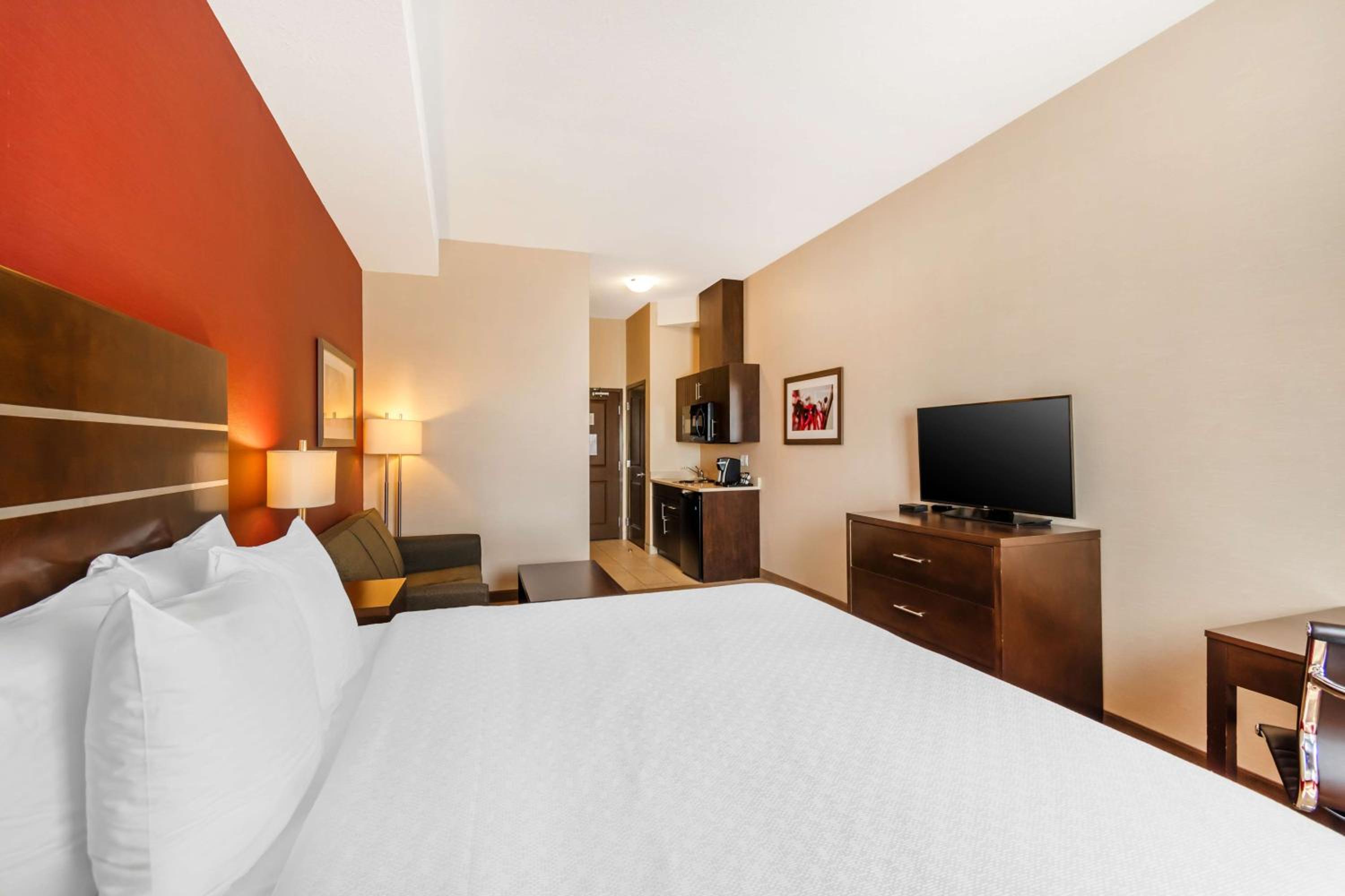 King Room with Sofa Bed and Walk-In Shower - Kitchenette/Mobility Accessible