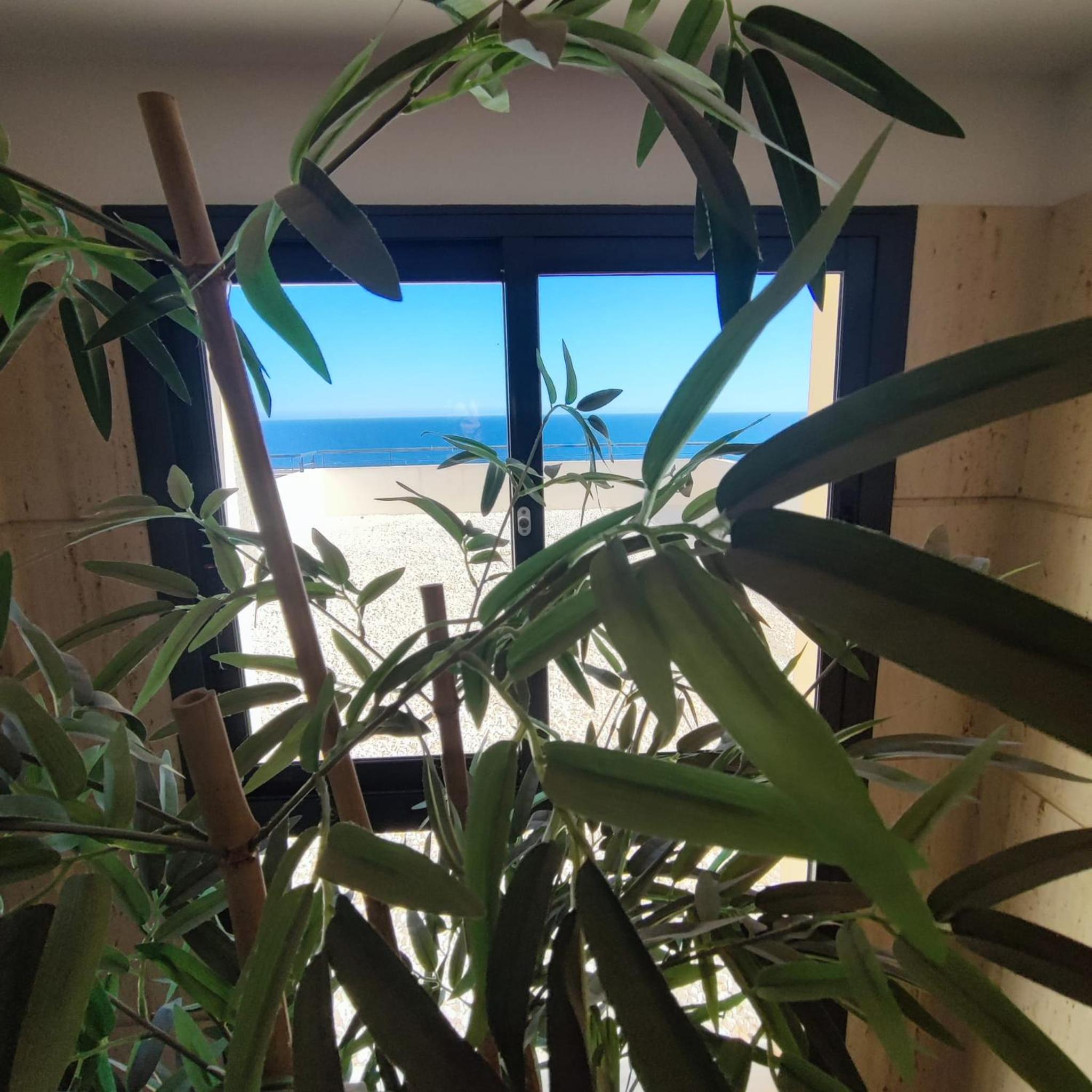Two-Bedroom Apartment with Terrace and Sea View photo 3