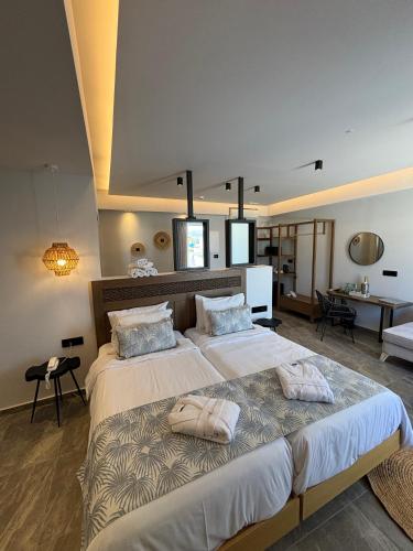 Deluxe Double or Twin Room with Spa Bath photo 2