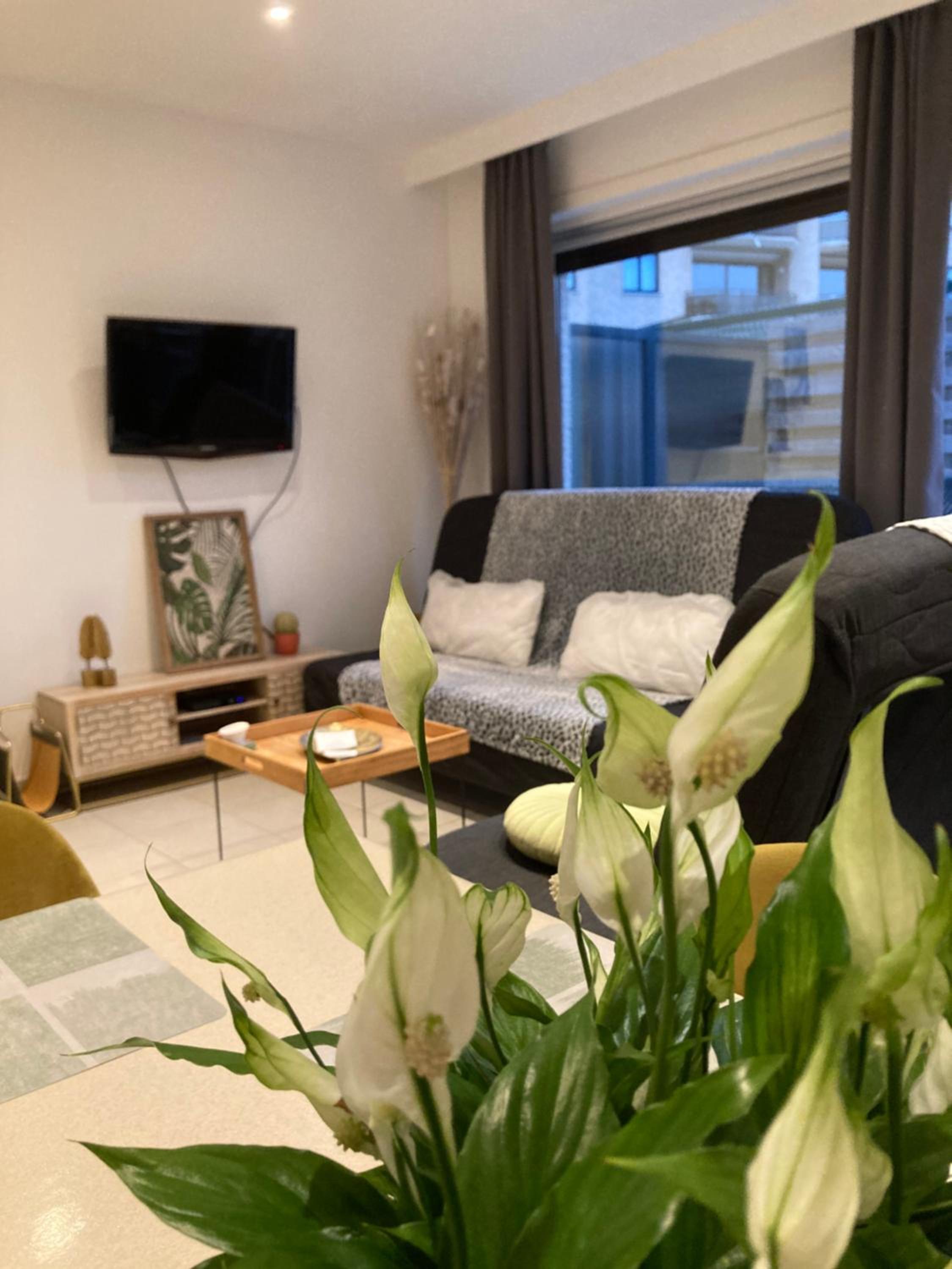 One-Bedroom Apartment photo 1