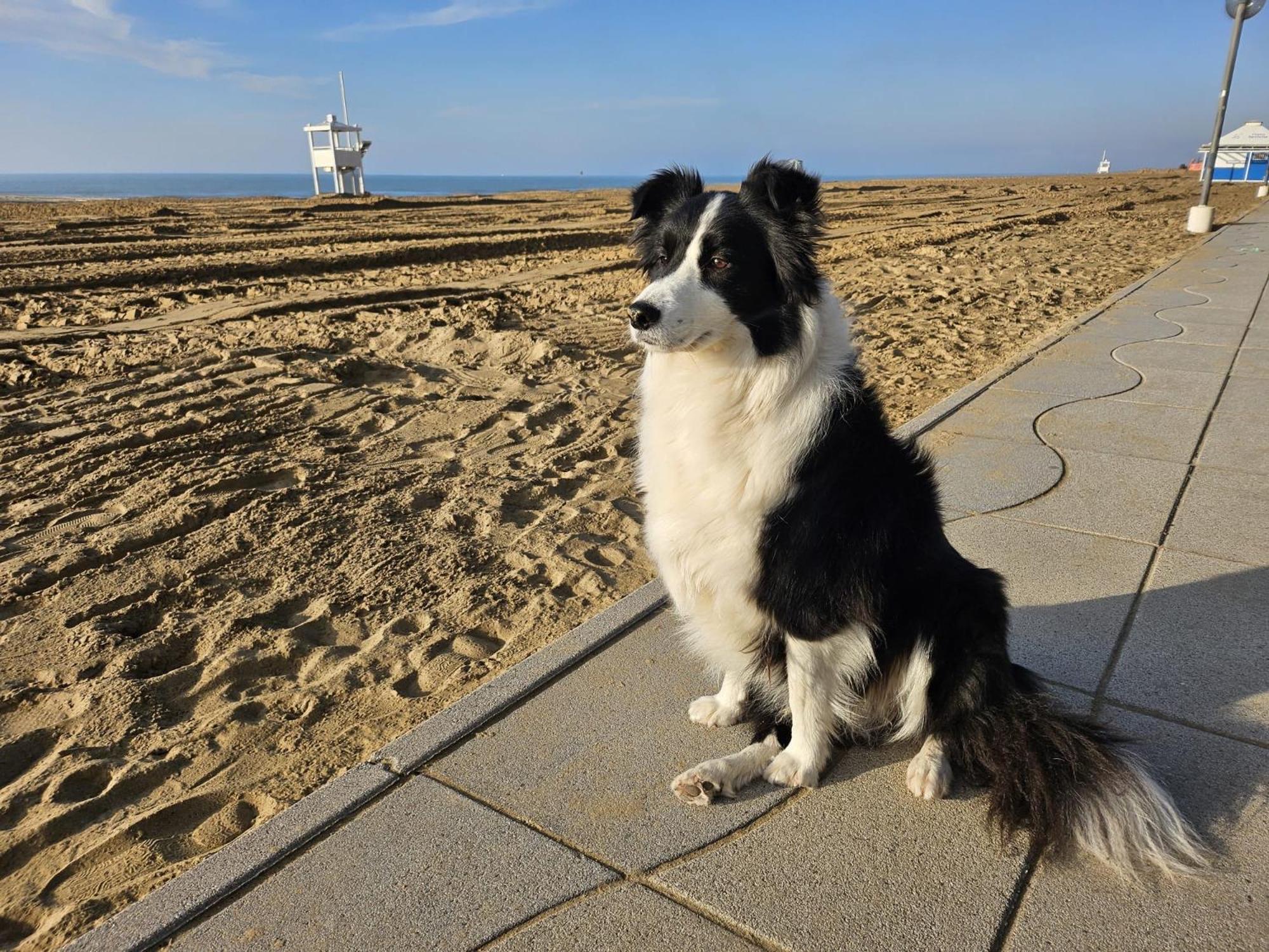 Family Room - Free Beach Access
