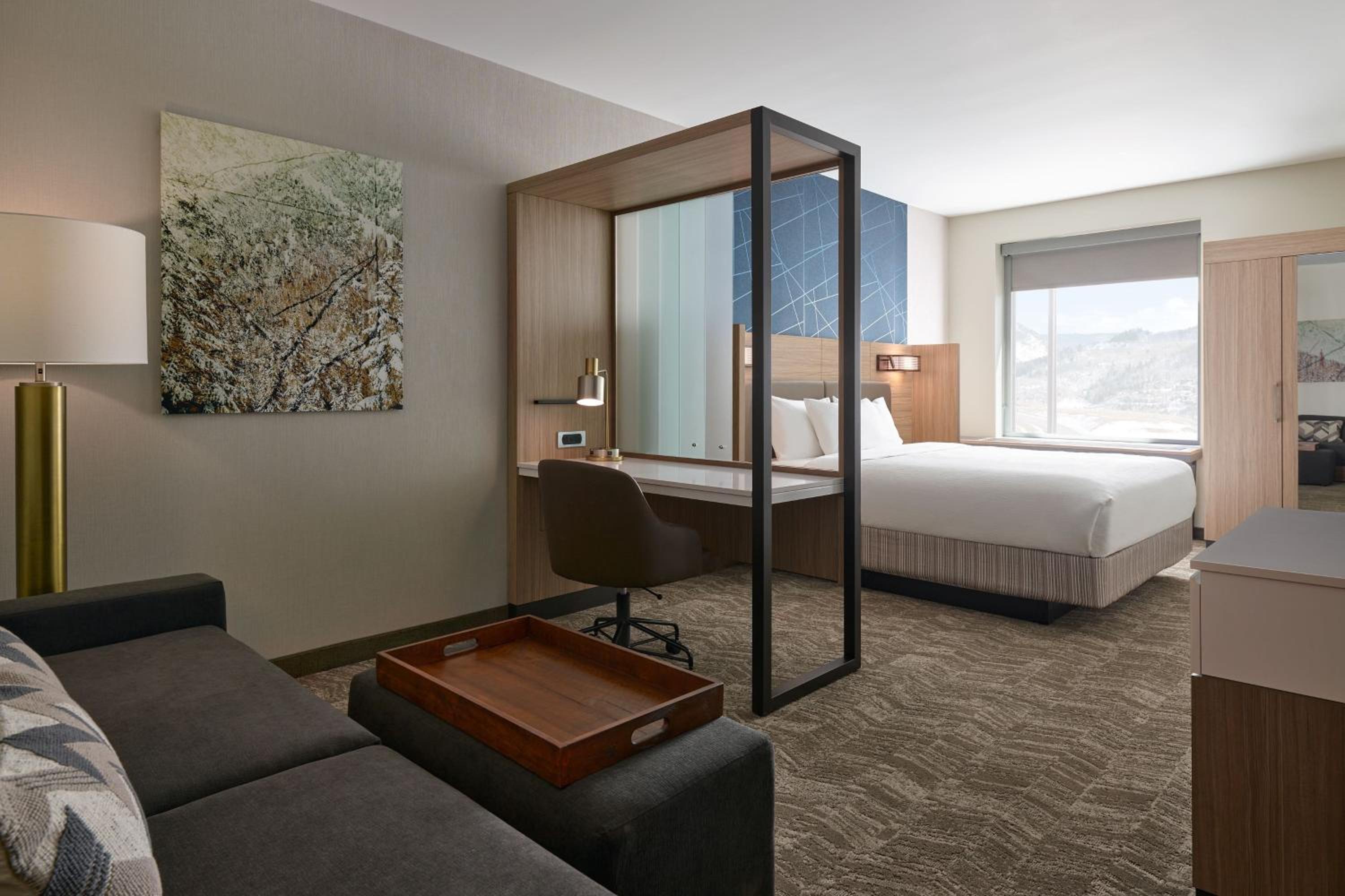 King Room with Sofa Bed and Roll-in Shower - Mobility Accessible photo 1