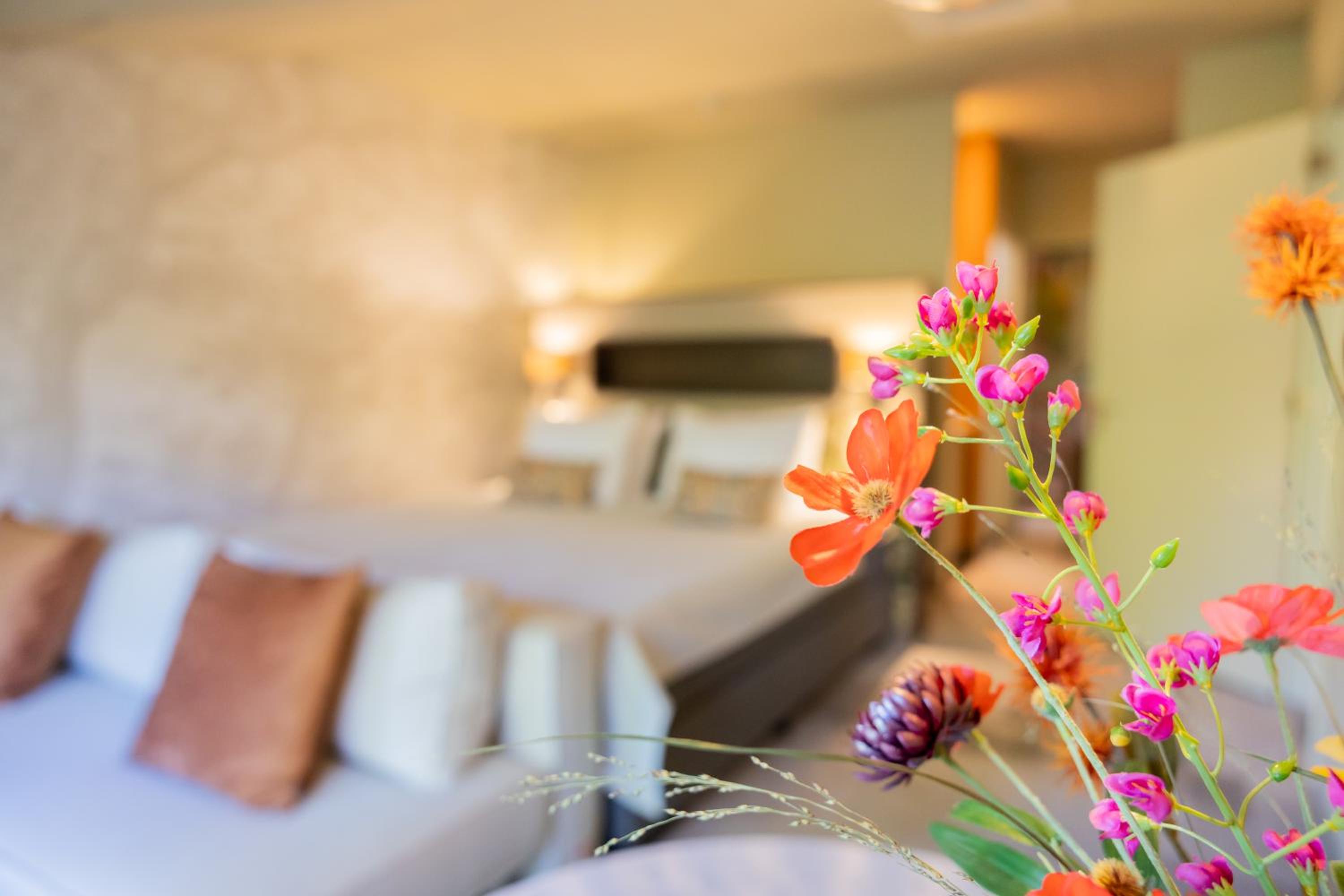 Deluxe Junior Suite photo 3