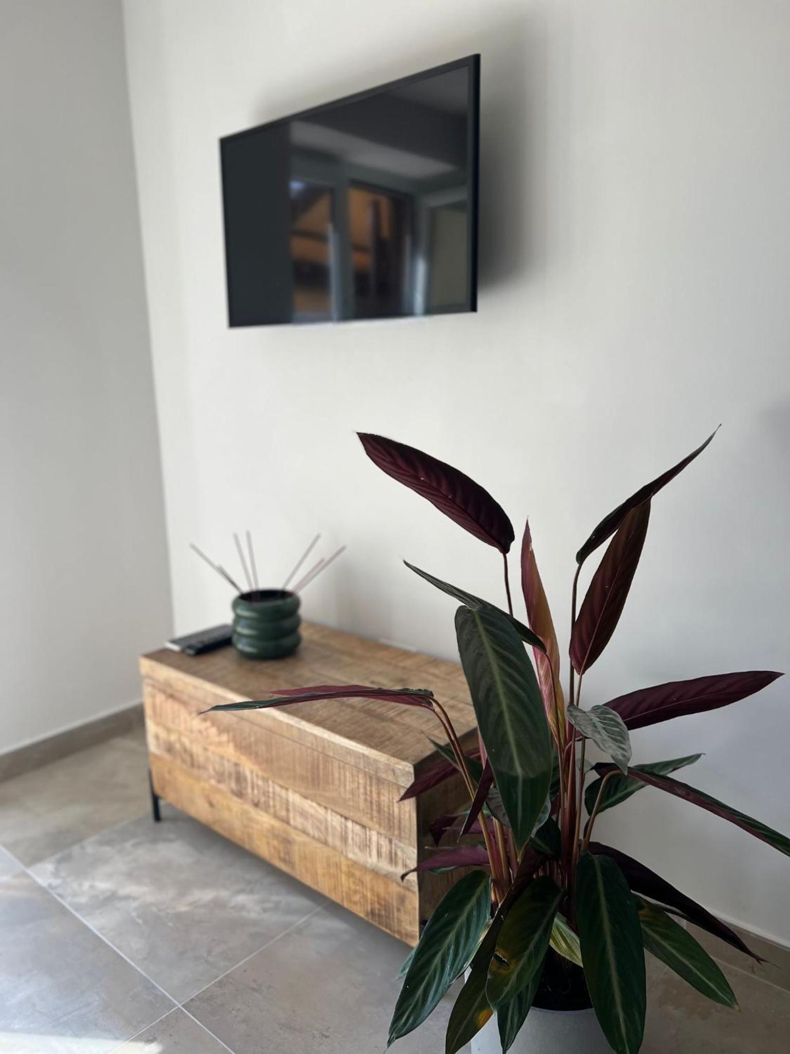 Studio with Sea View photo 2