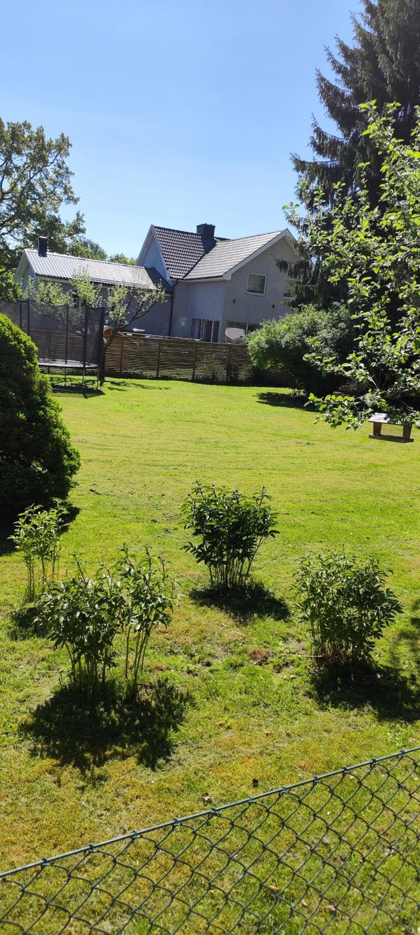 Villa with Garden View photo 3