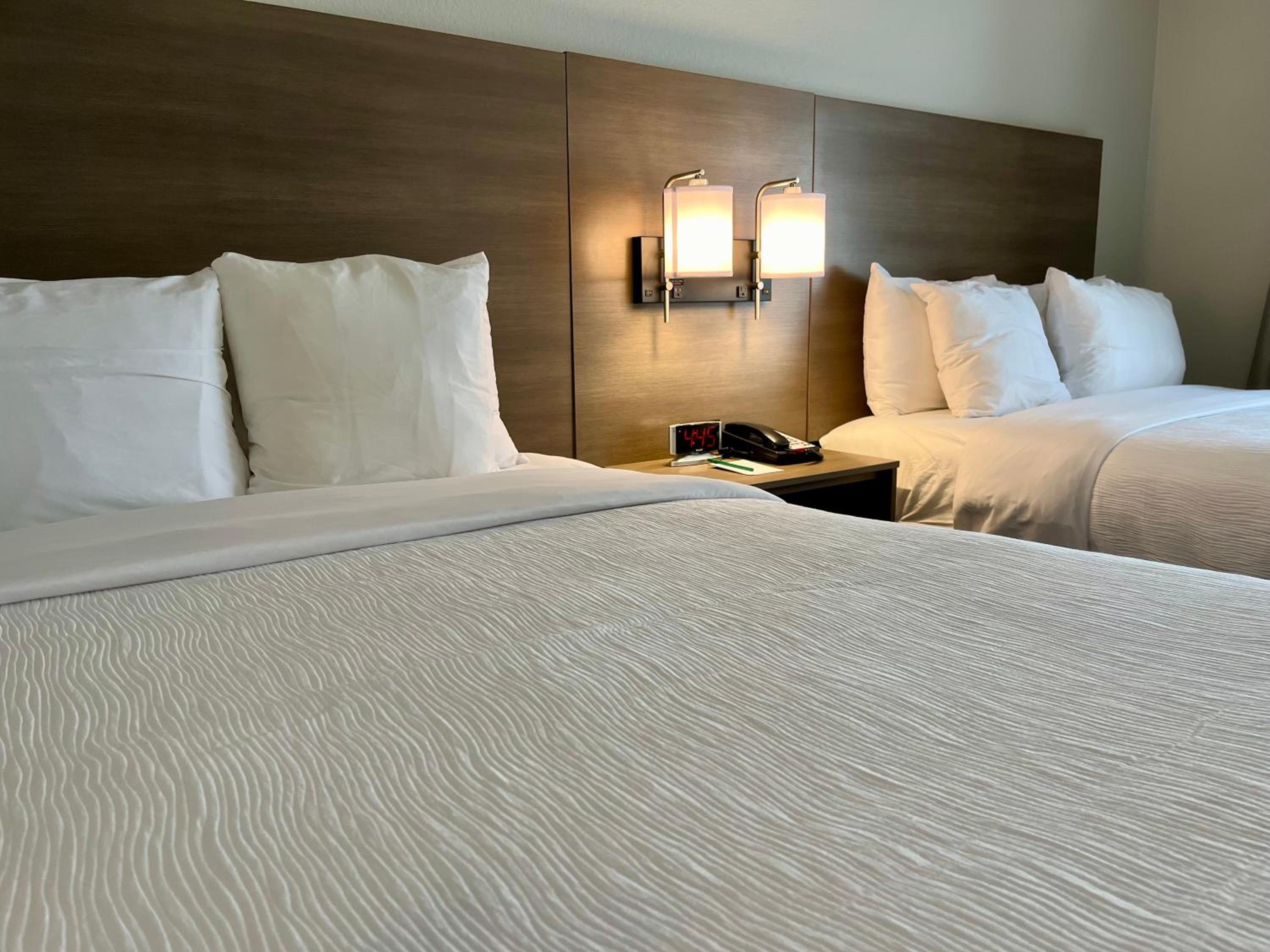 Queen Suite with Two Queen Beds - Non-Smoking photo 3