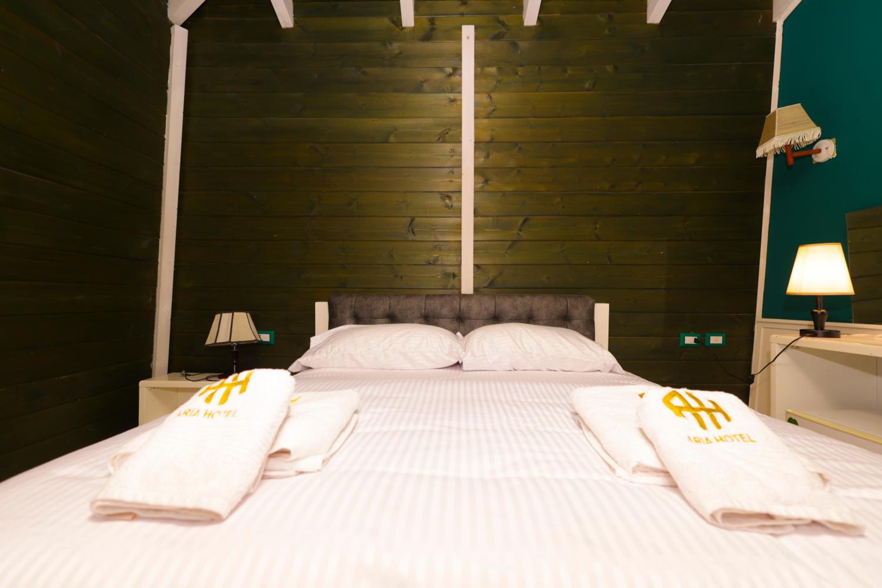 Double or Twin Room photo 3