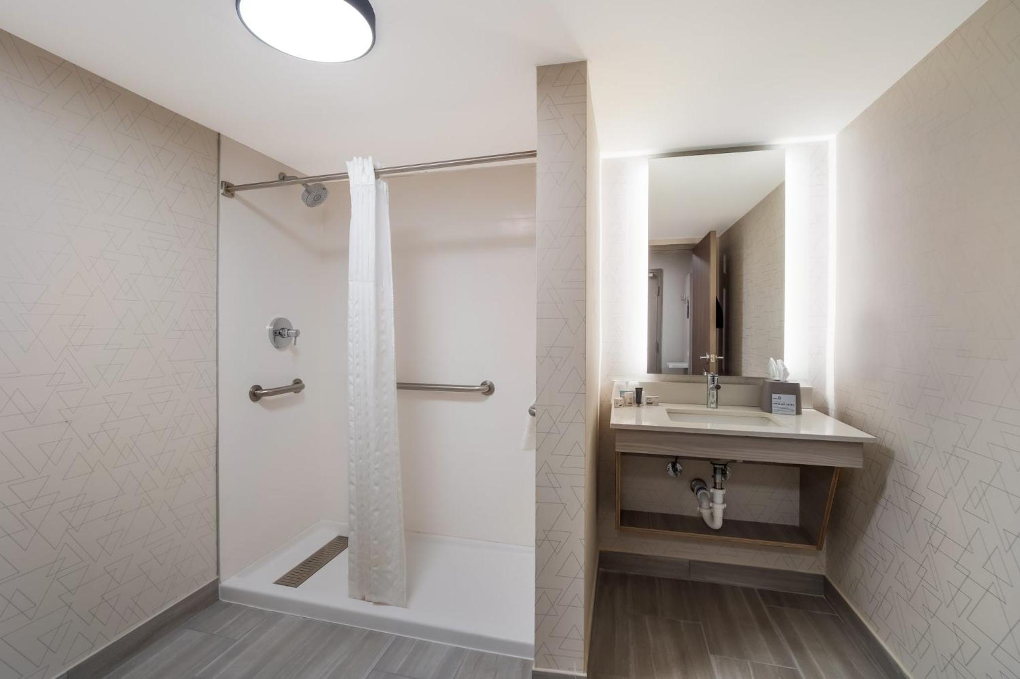 King Suite with Mobility Accessible Transfer Shower - Photo 2