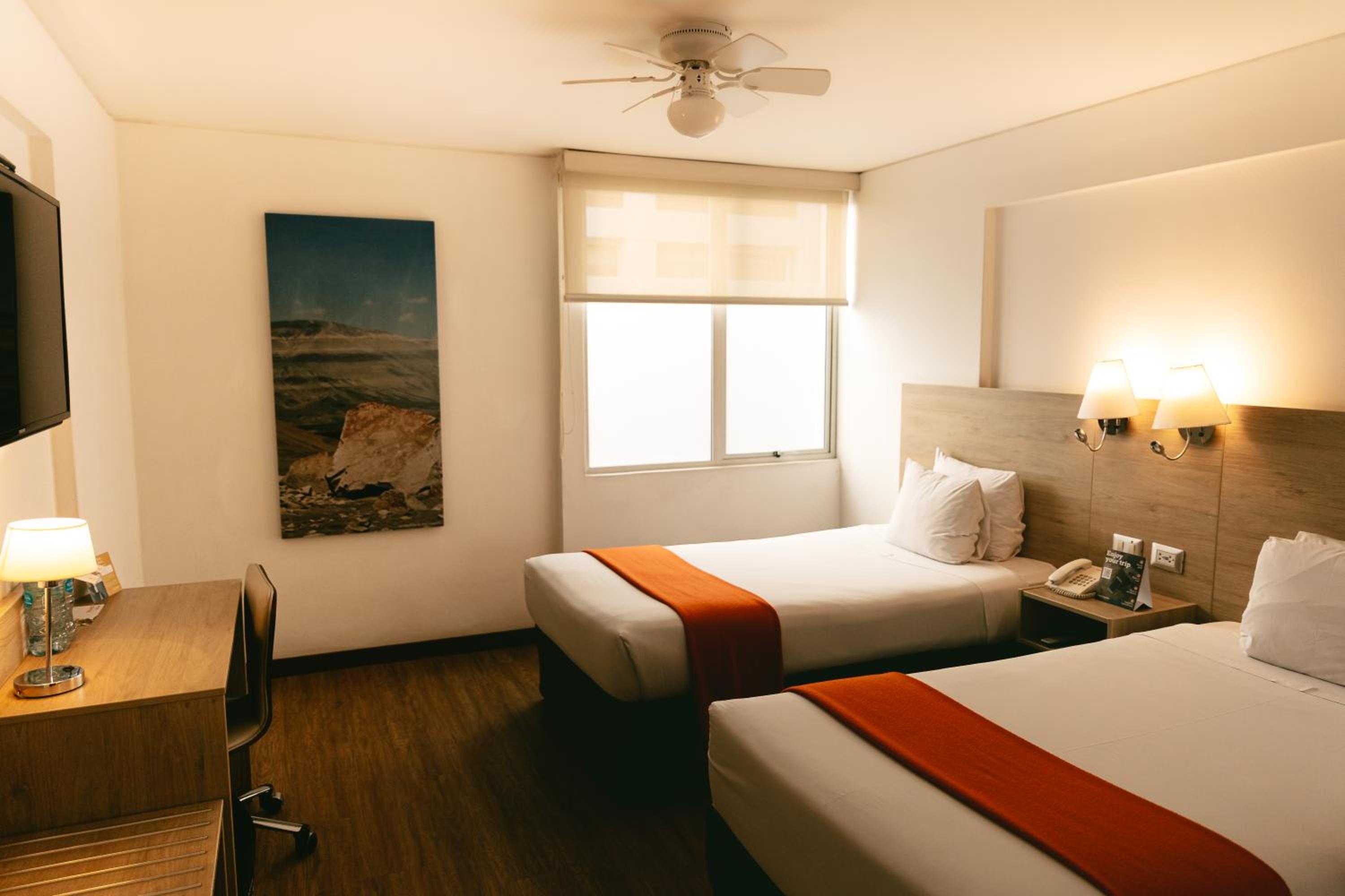 Twin Room photo 1