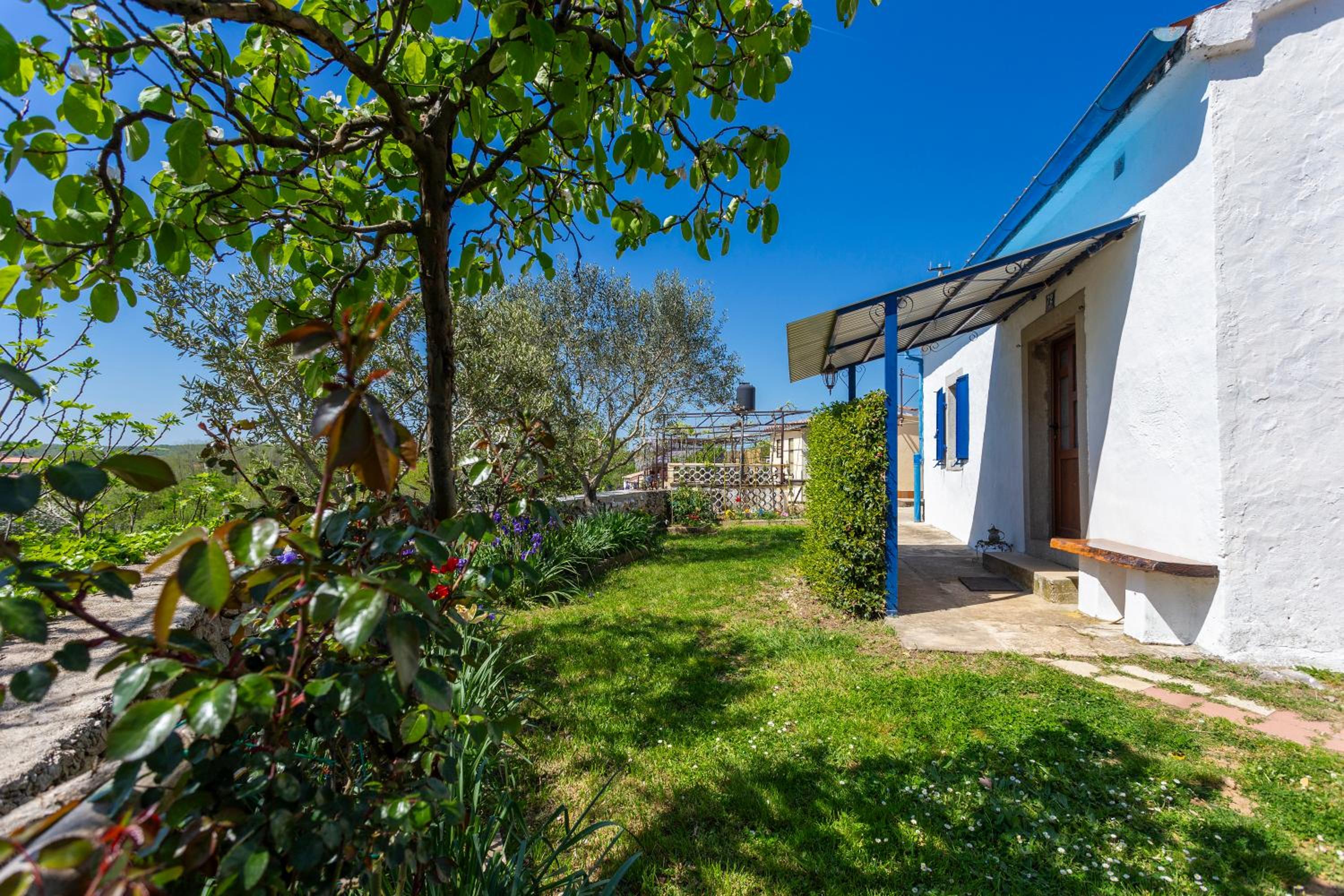 One-Bedroom House photo 2