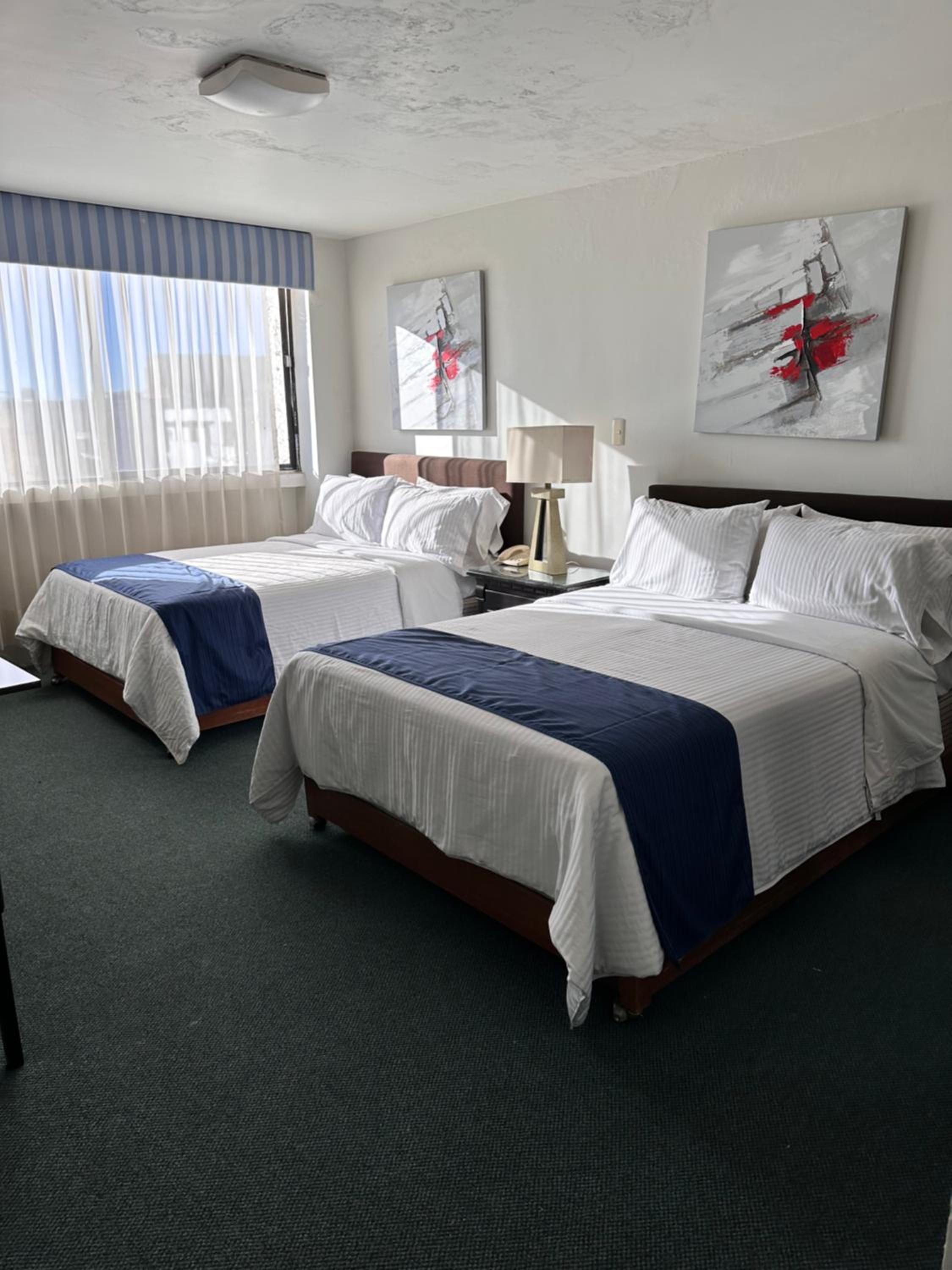 Deluxe Double Room photo 3