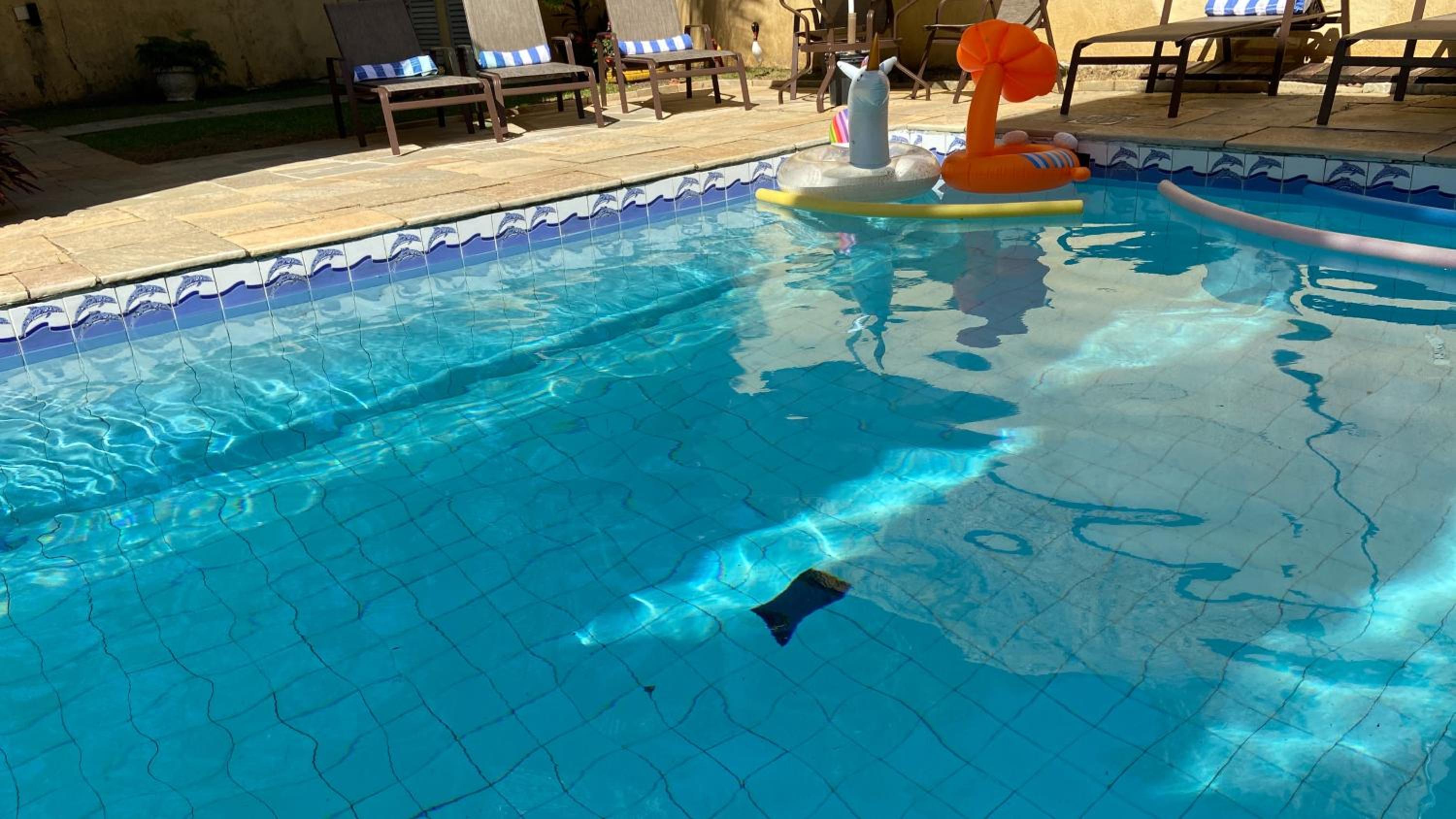 King Suite with Pool View photo 2
