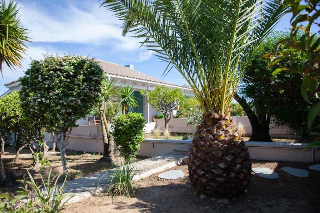 Three-Bedroom Villa photo 2