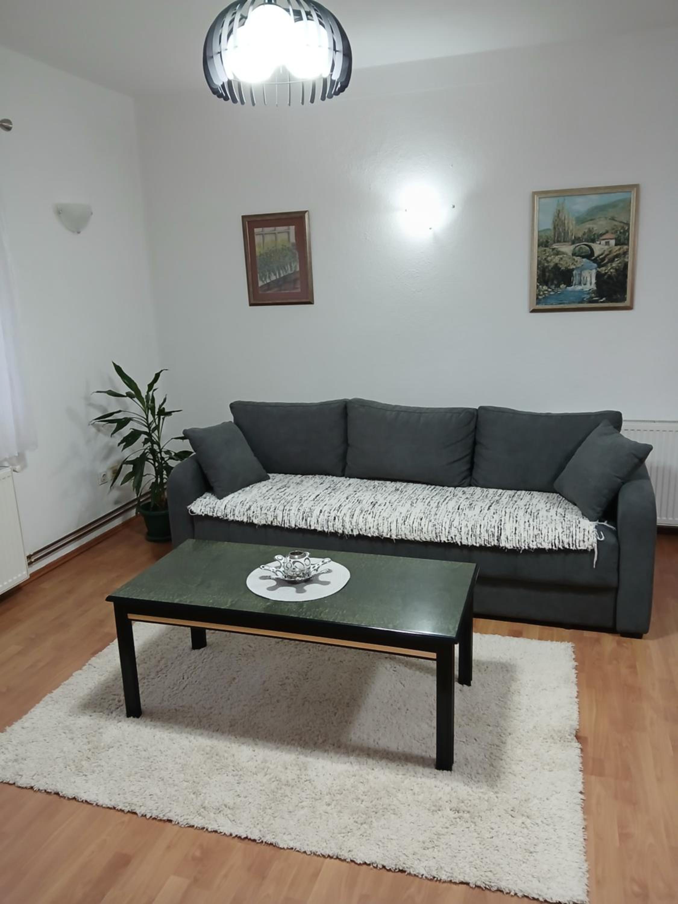 One-Bedroom Family Apartment photo 2