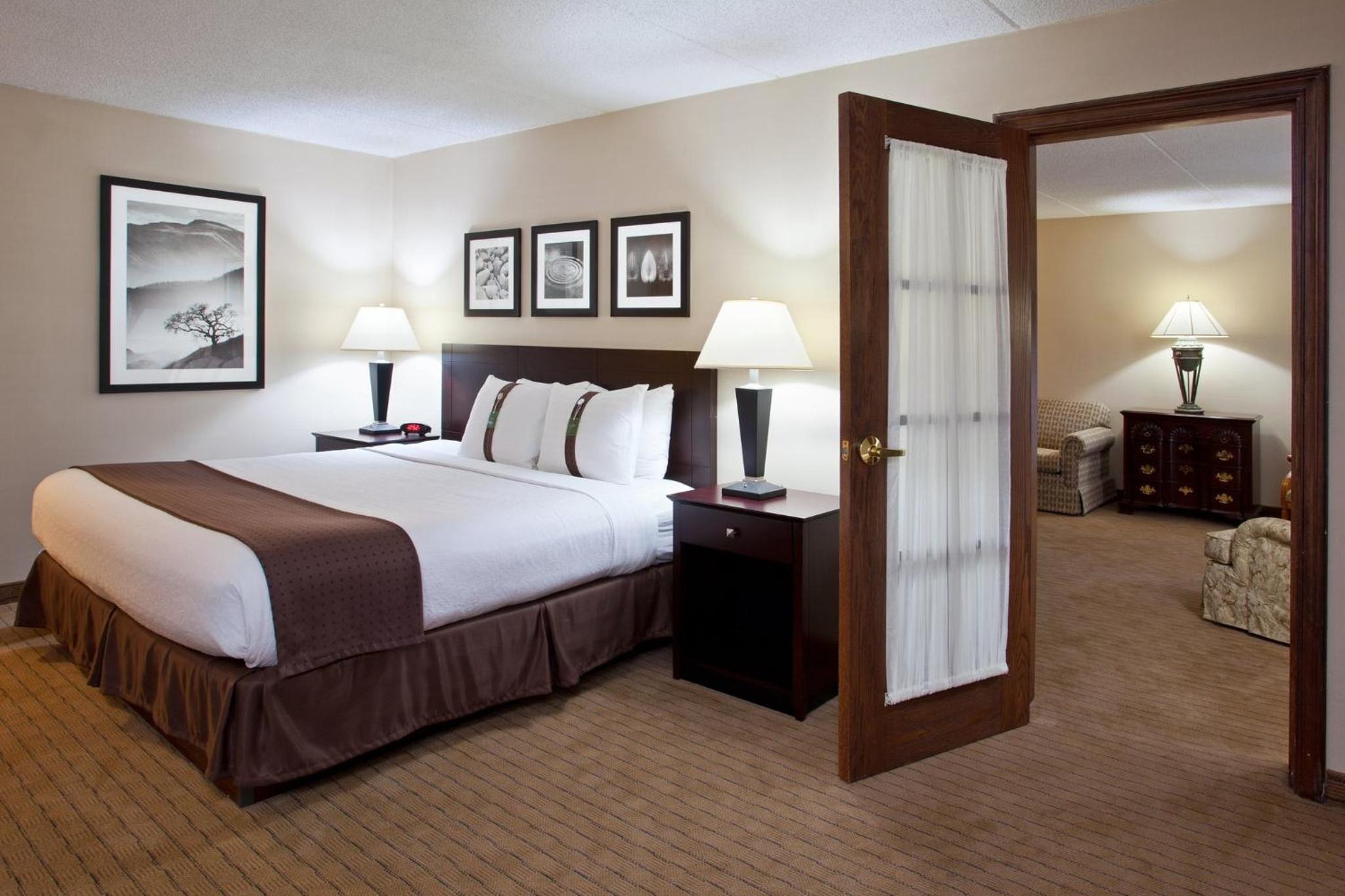 One-Bedroom King Suite with Sofa Bed - Photo 1