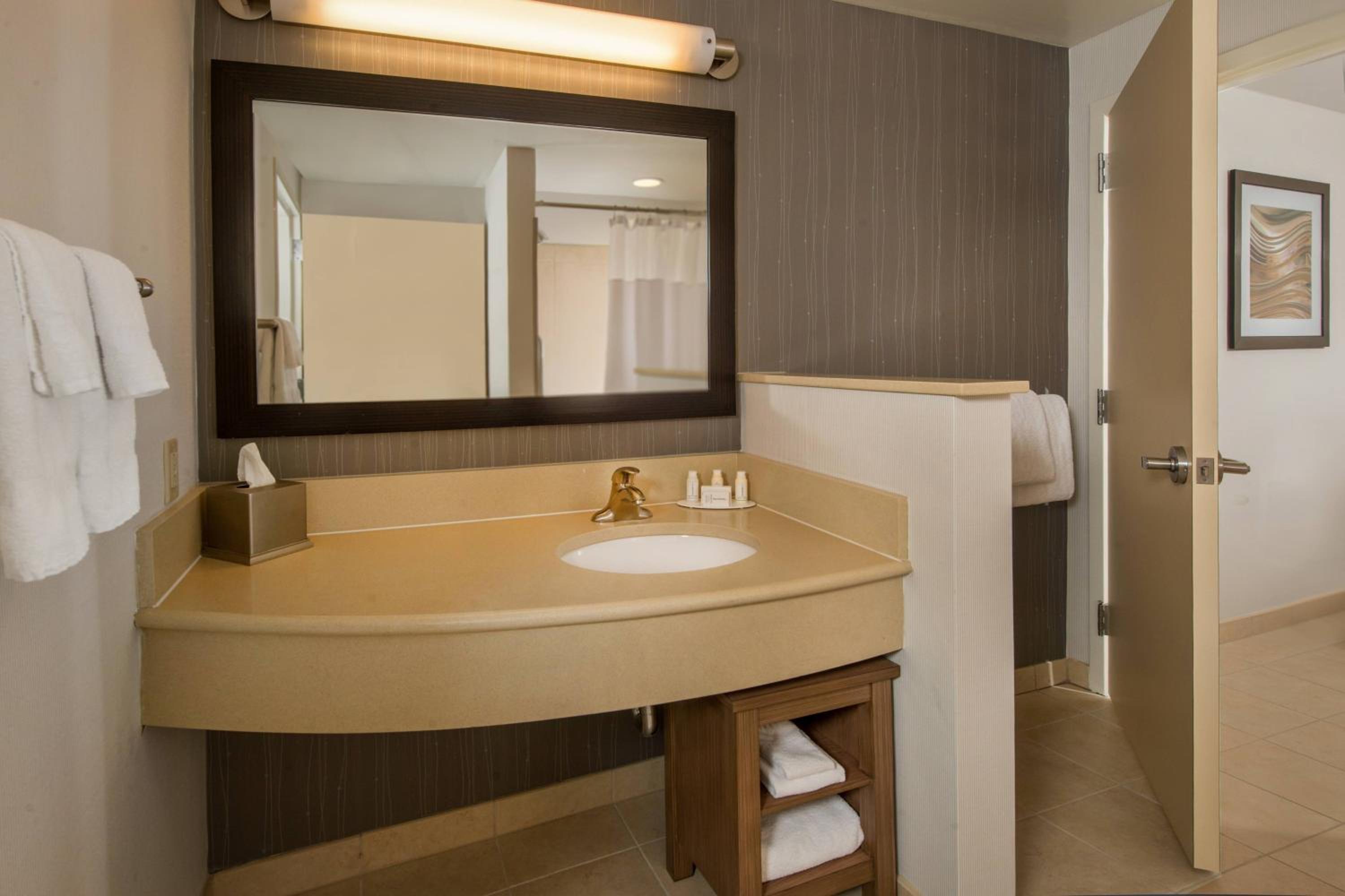 One-Bedroom King Suite with Sofa Bed - Photo 4