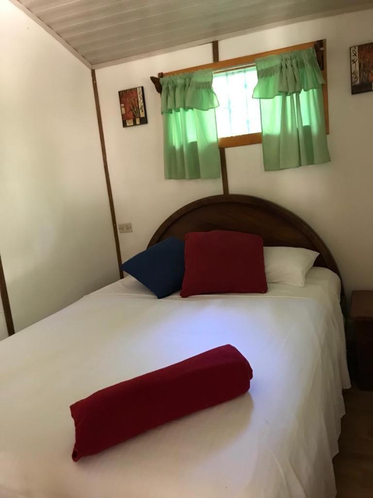 Double Room with Shared Bathroom photo 1