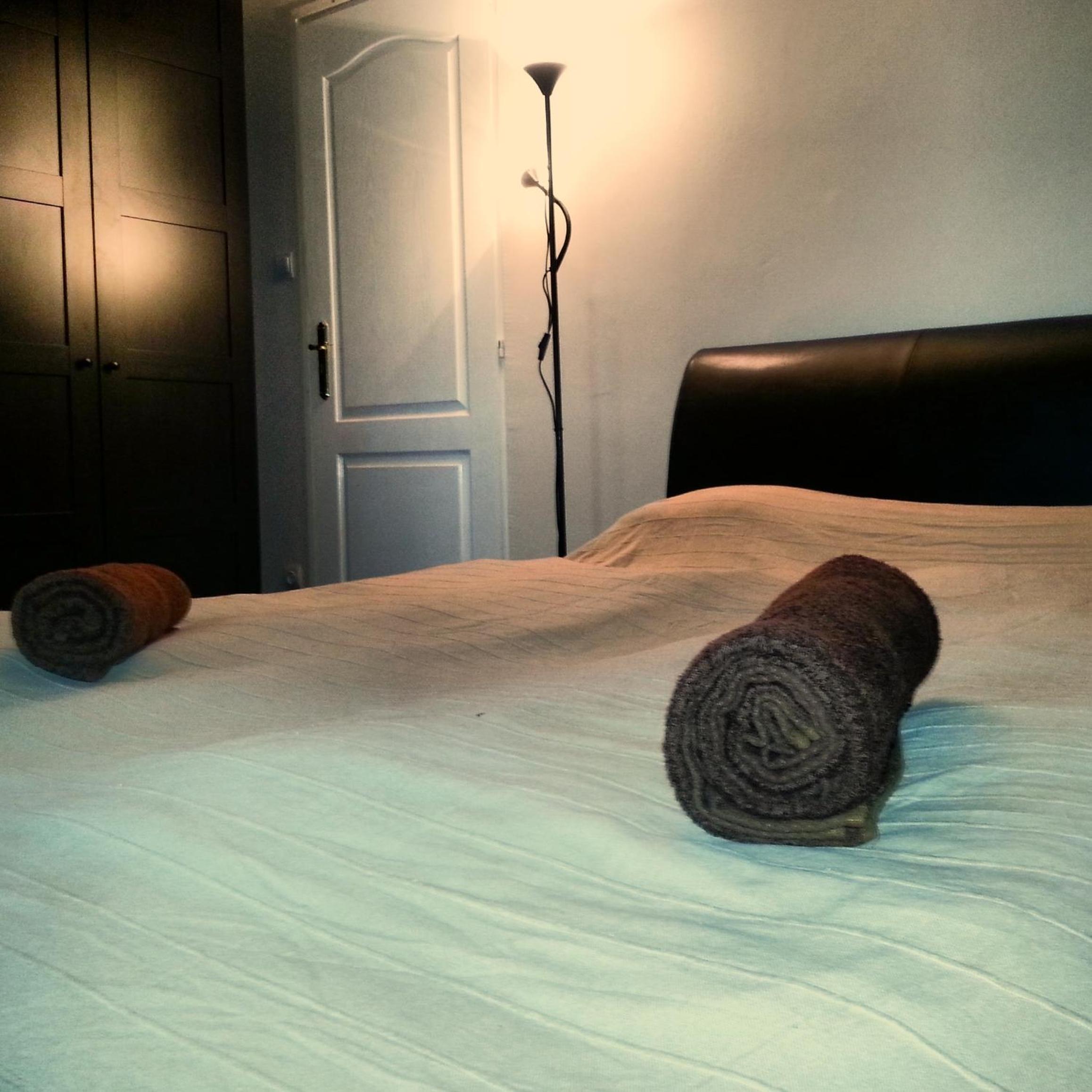 Standard  Double Room