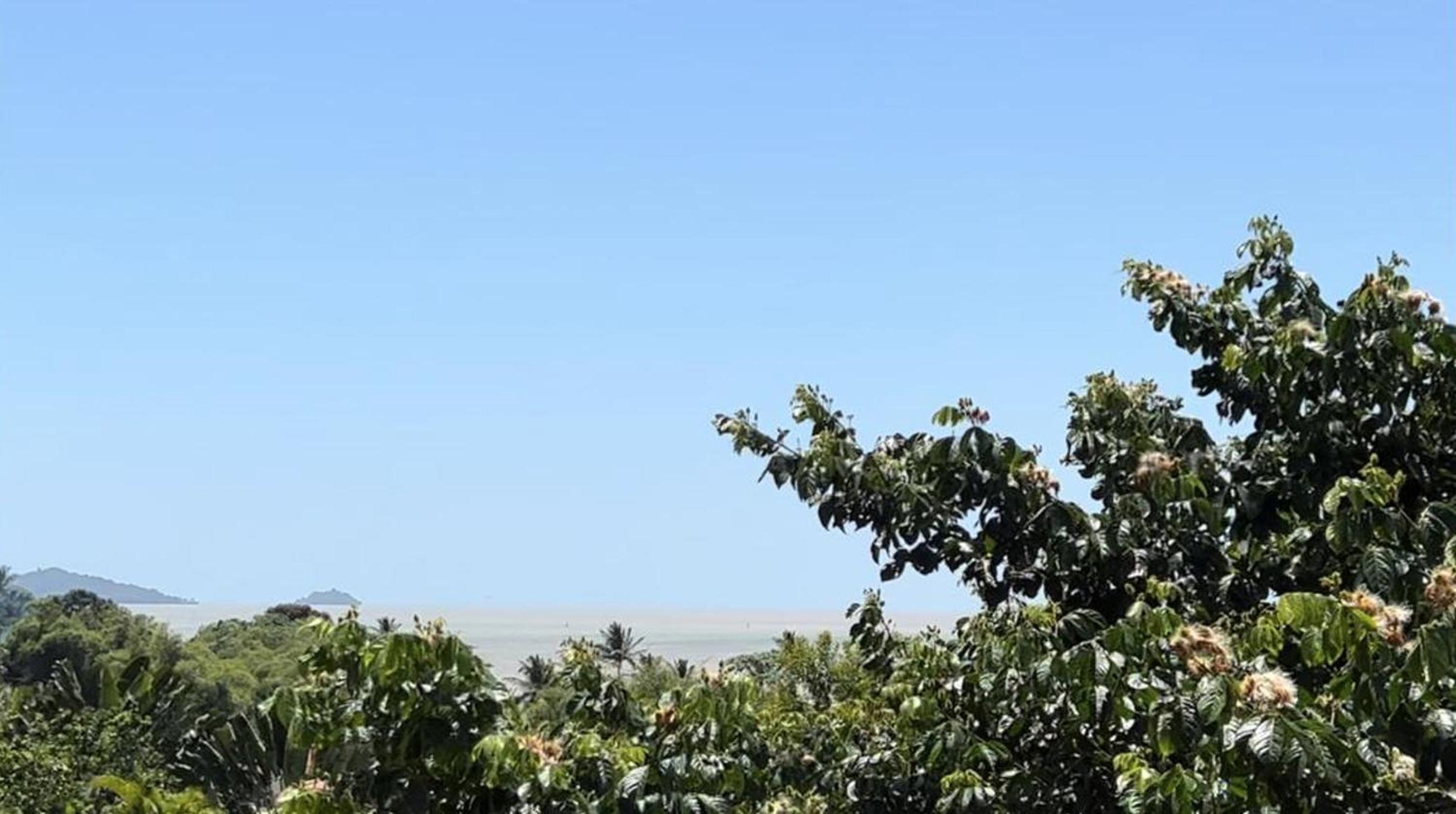 Apartment with Garden View photo 3