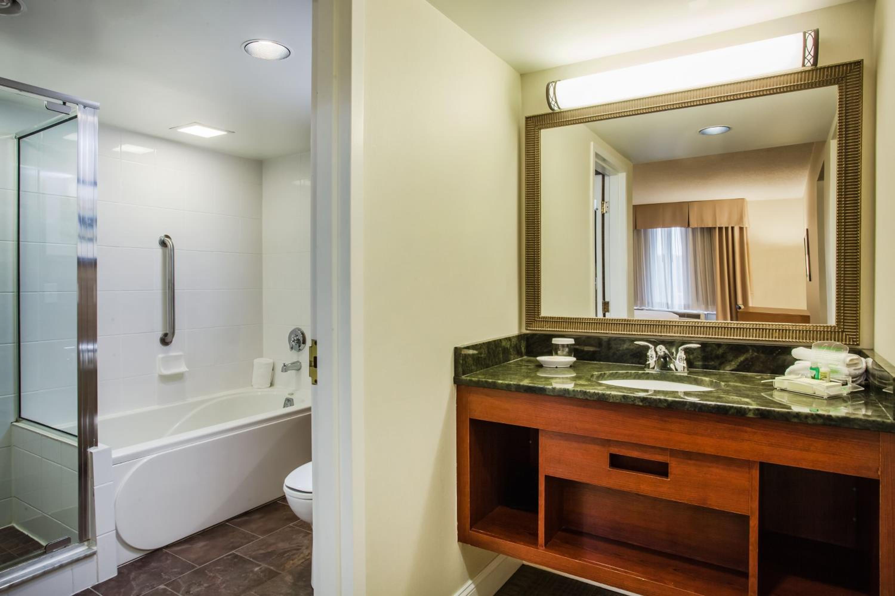 One-Bedroom King Suite - Photo 9