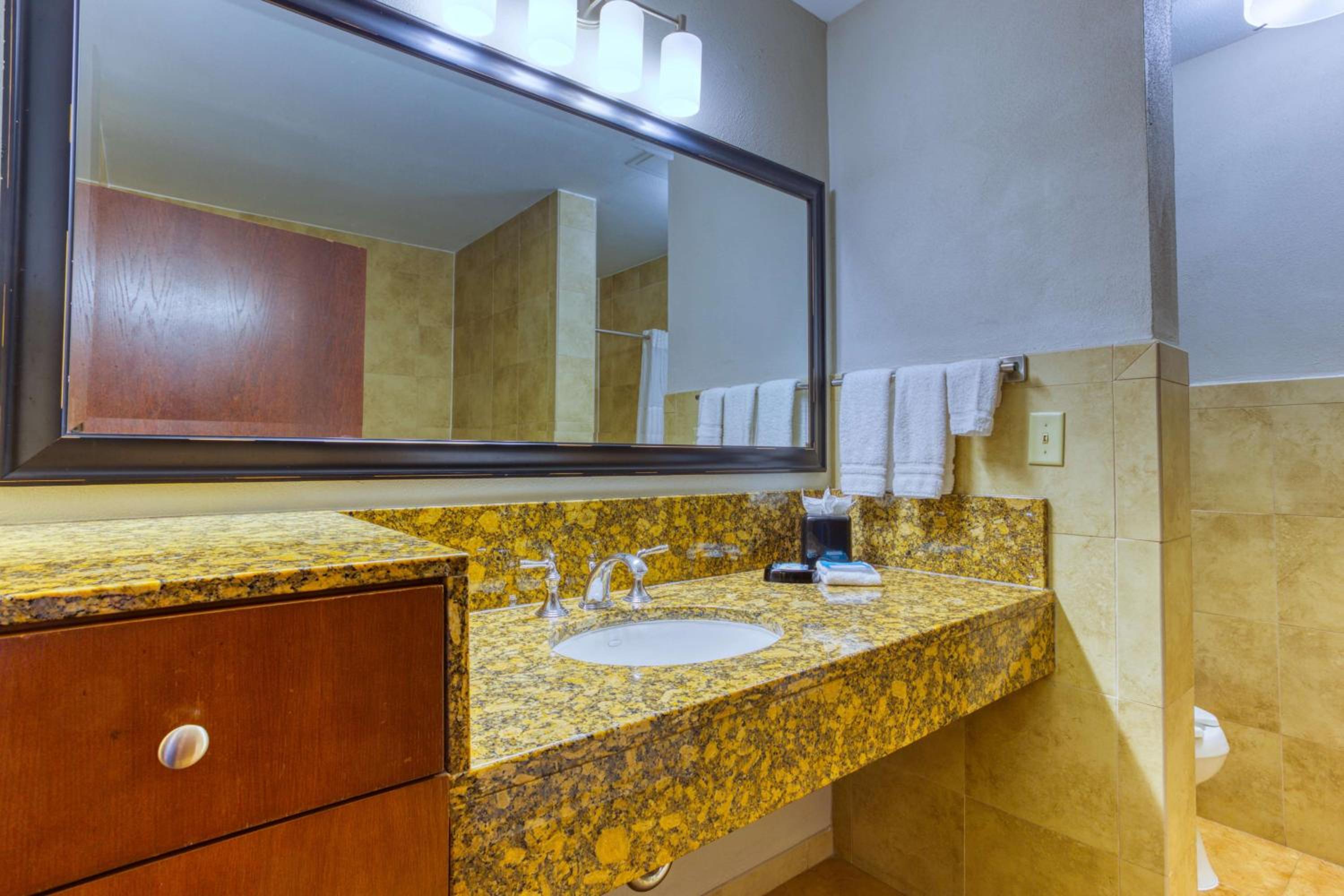 King Suite with Spa Bath with Terrace - Photo 2