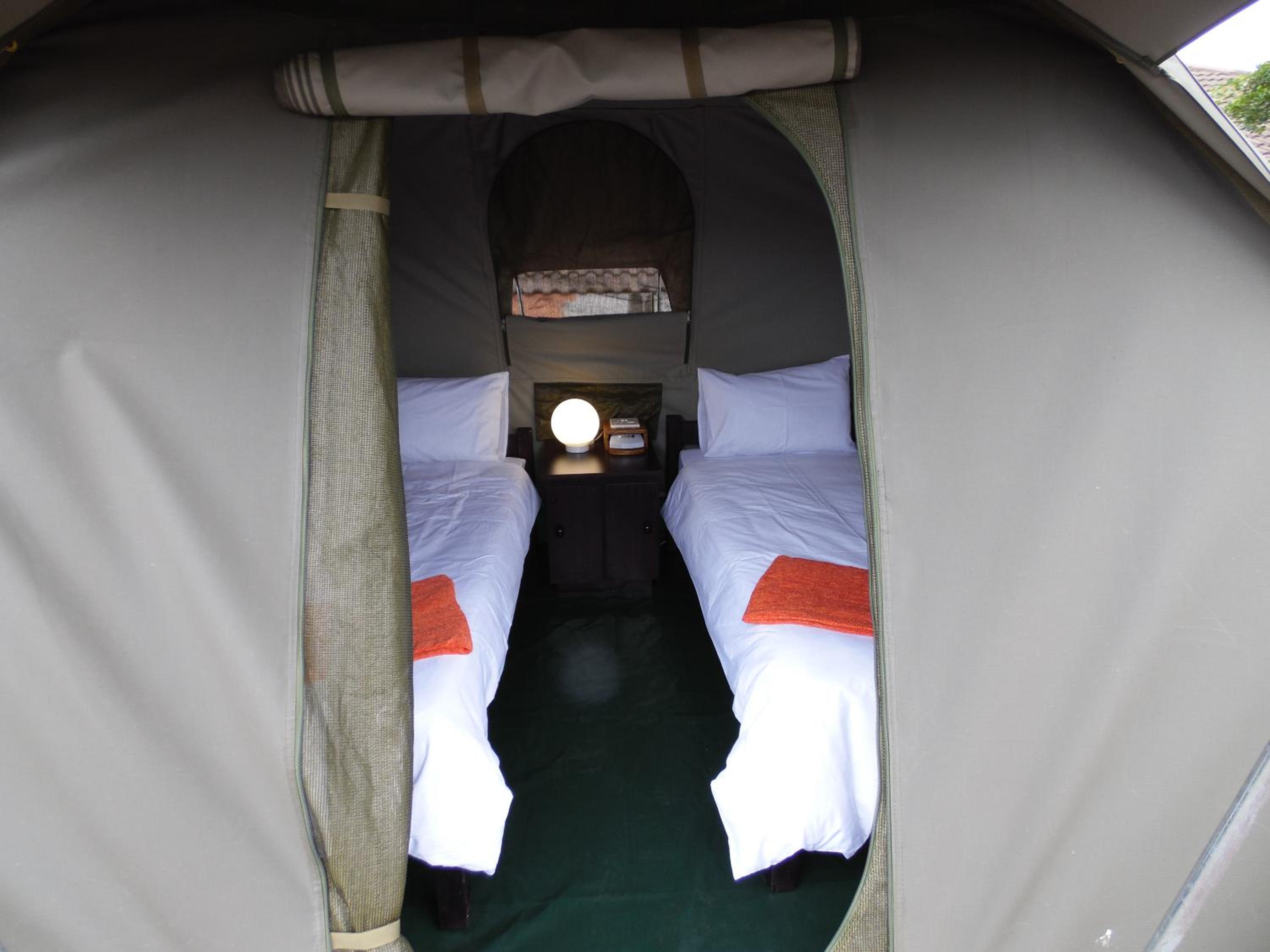 Tent (2 single beds only) photo 3