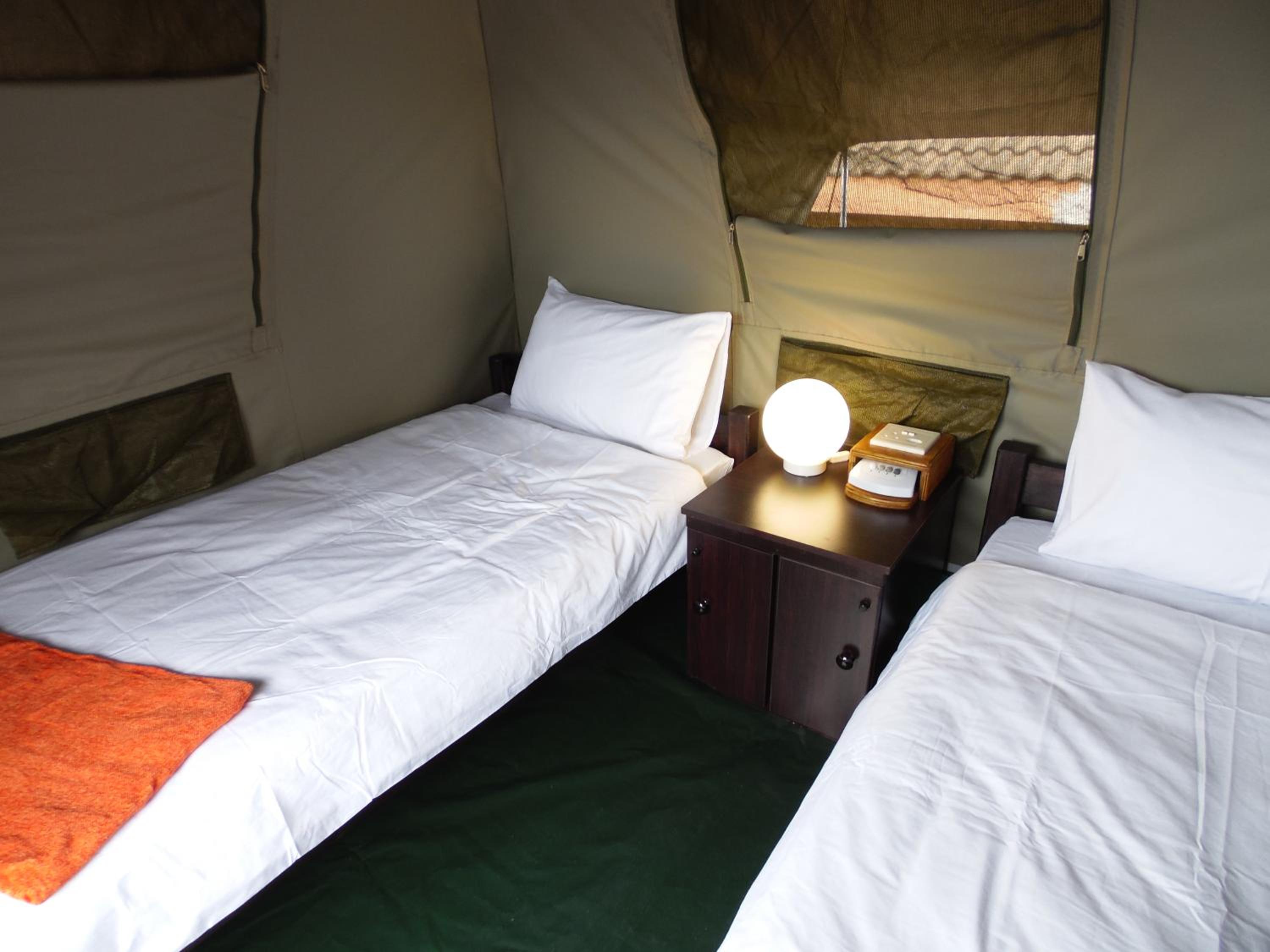 Tent (2 single beds only) photo 1