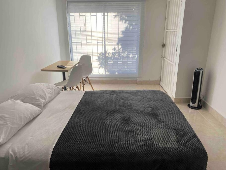 One-Bedroom Apartment photo 3