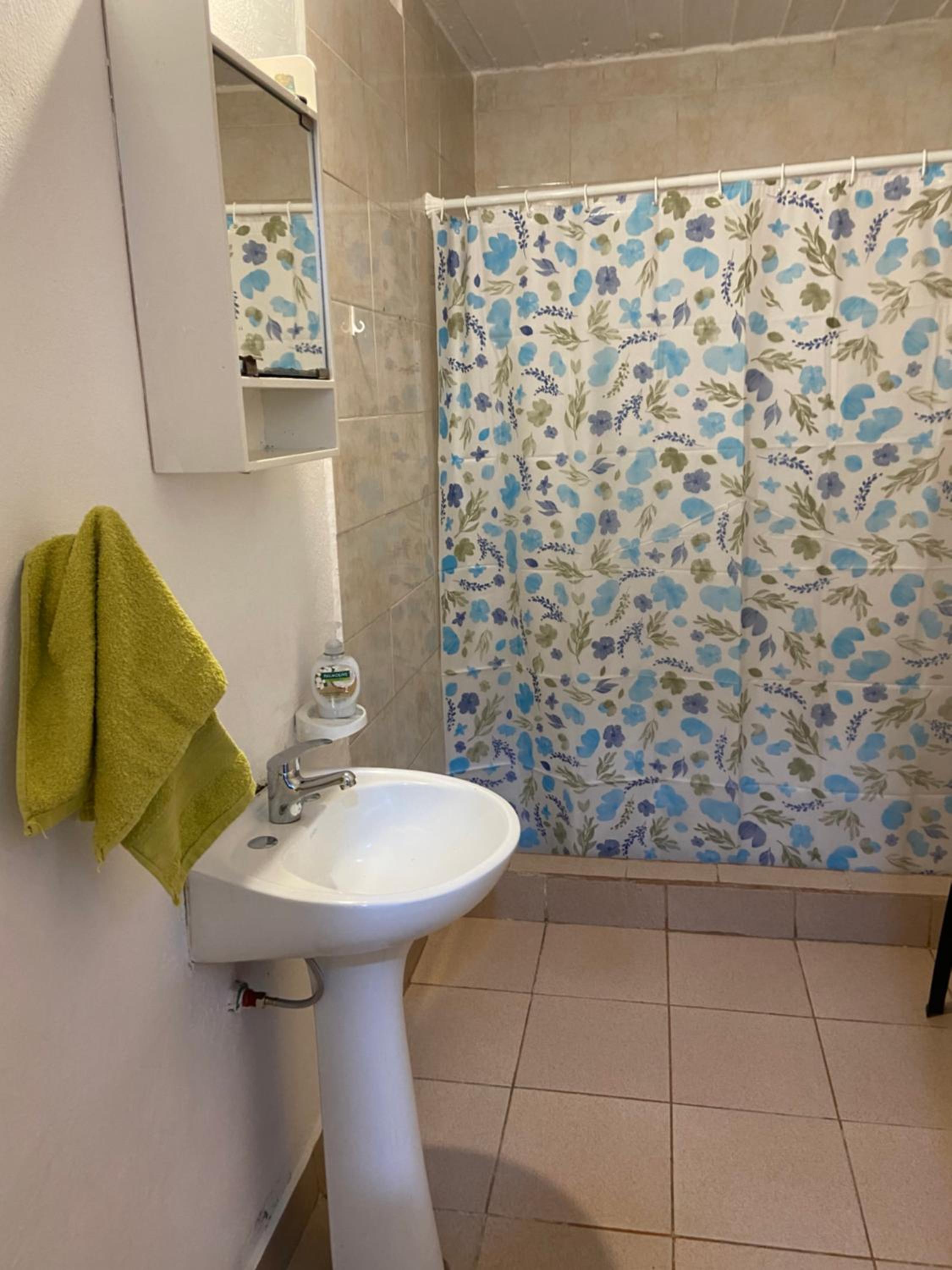 One-Bedroom Apartment photo 3