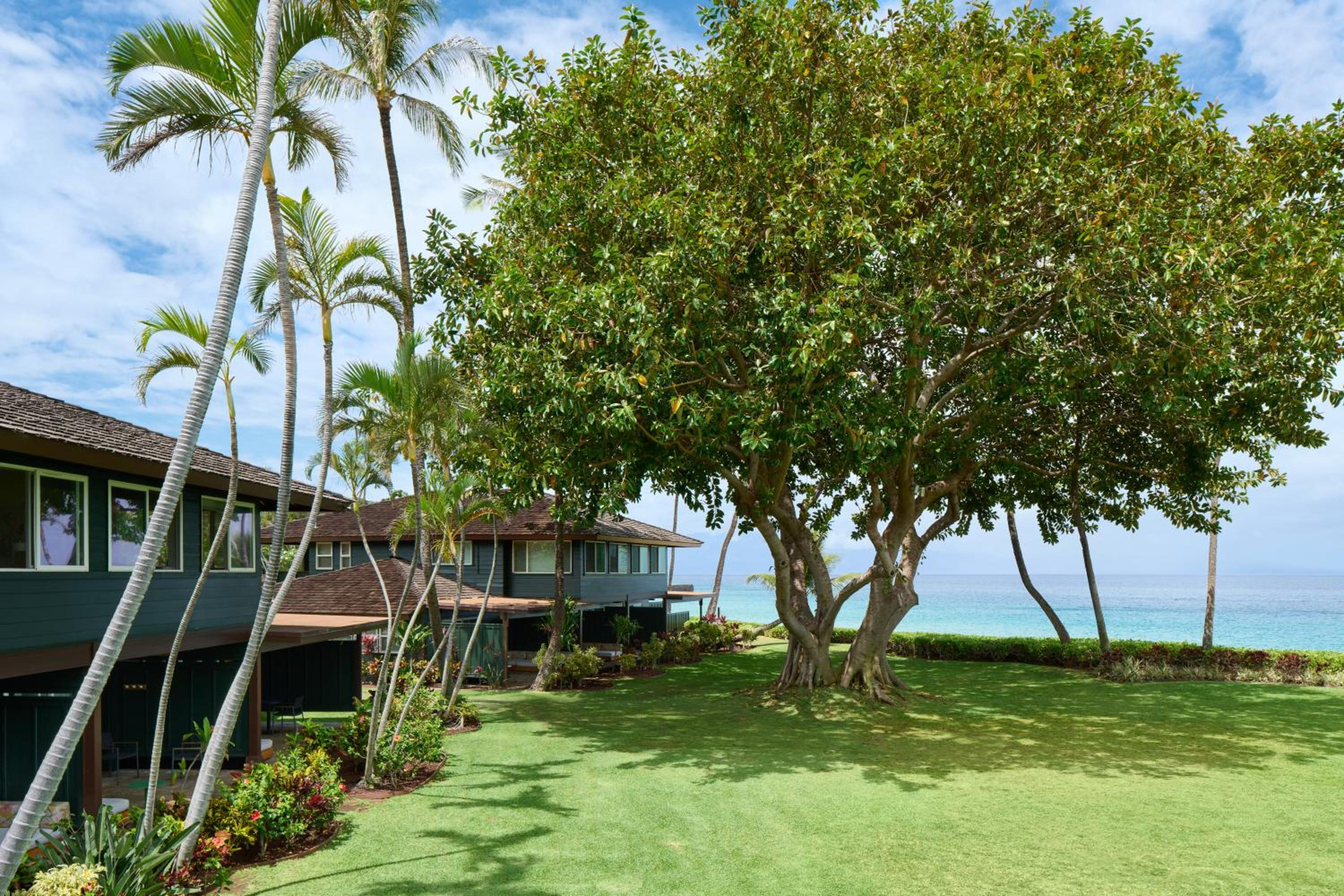 Bungalow Studio Suite Oceanfront with Kitchen