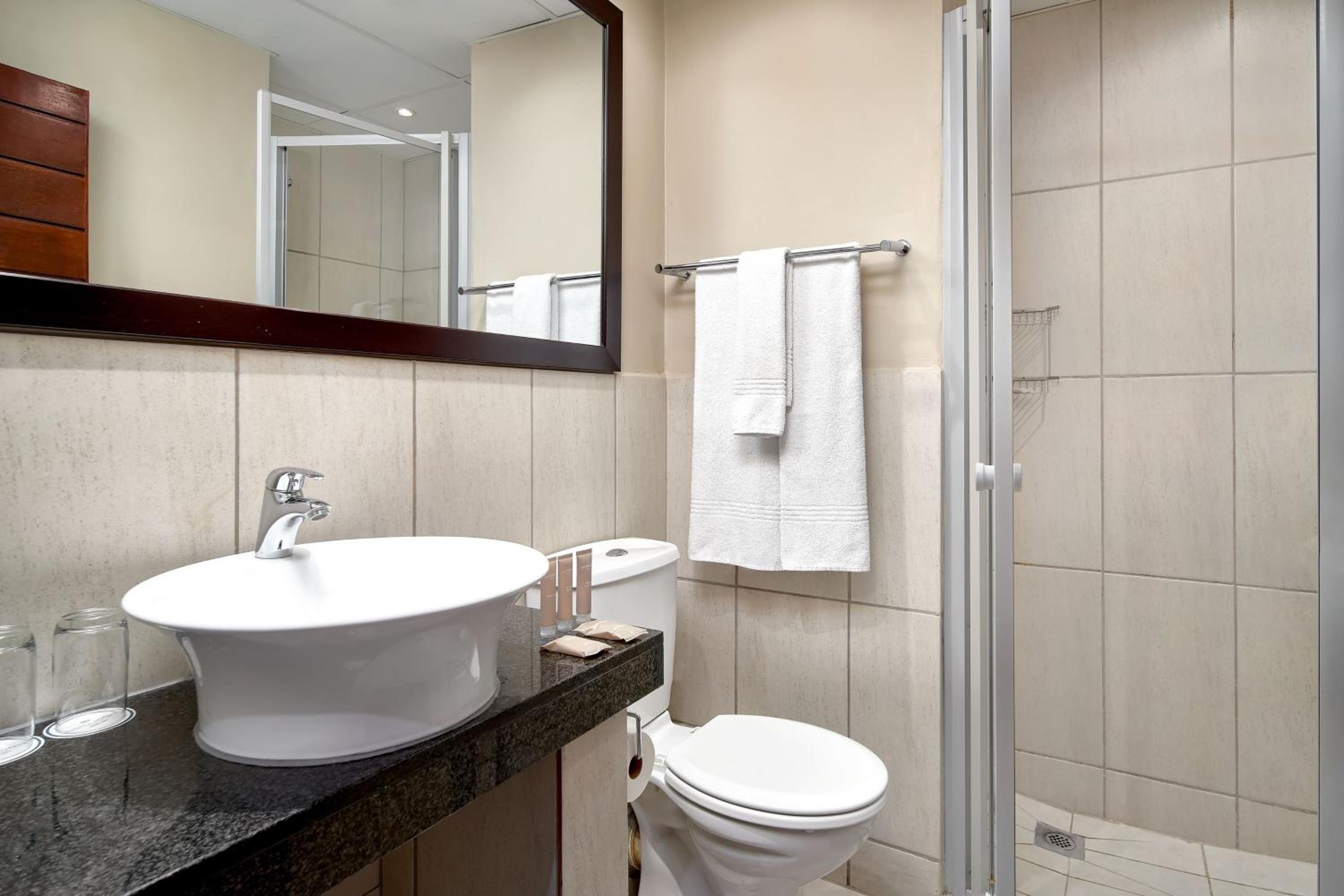 Standard King Room with City View - Photo 4