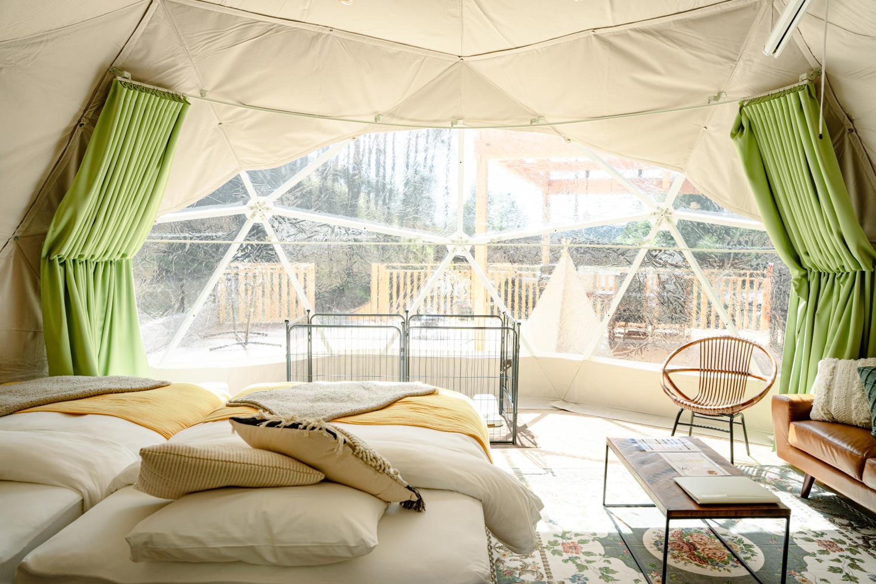 Tent photo 1